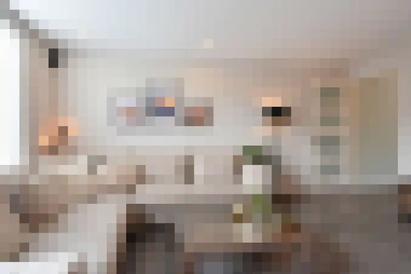 Grolloostraat 20 Den Haag thumbnail 10