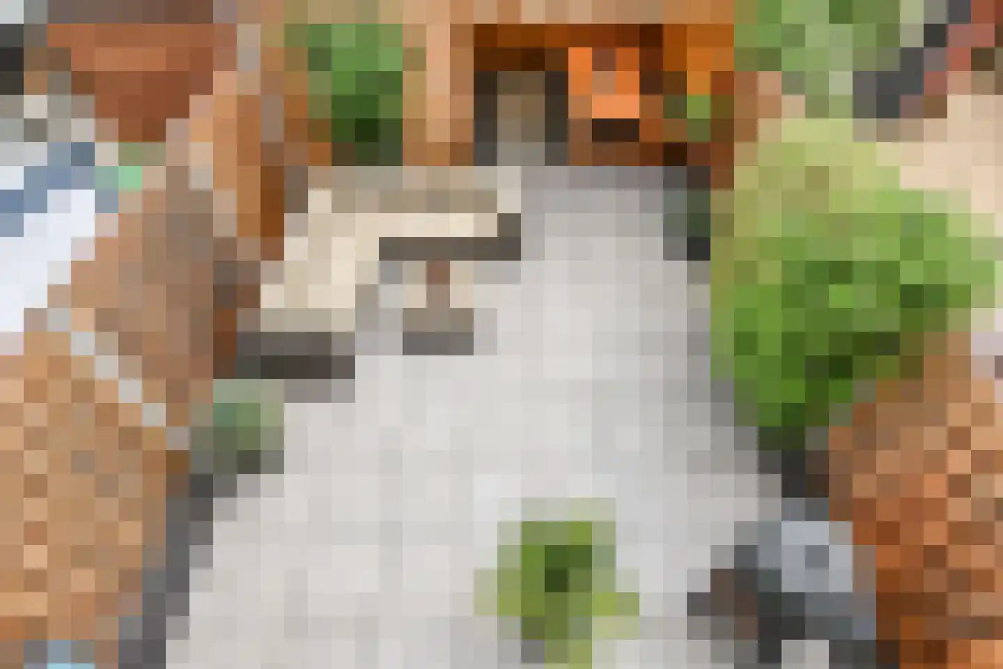 Grolloostraat 20 Den Haag thumbnail 35