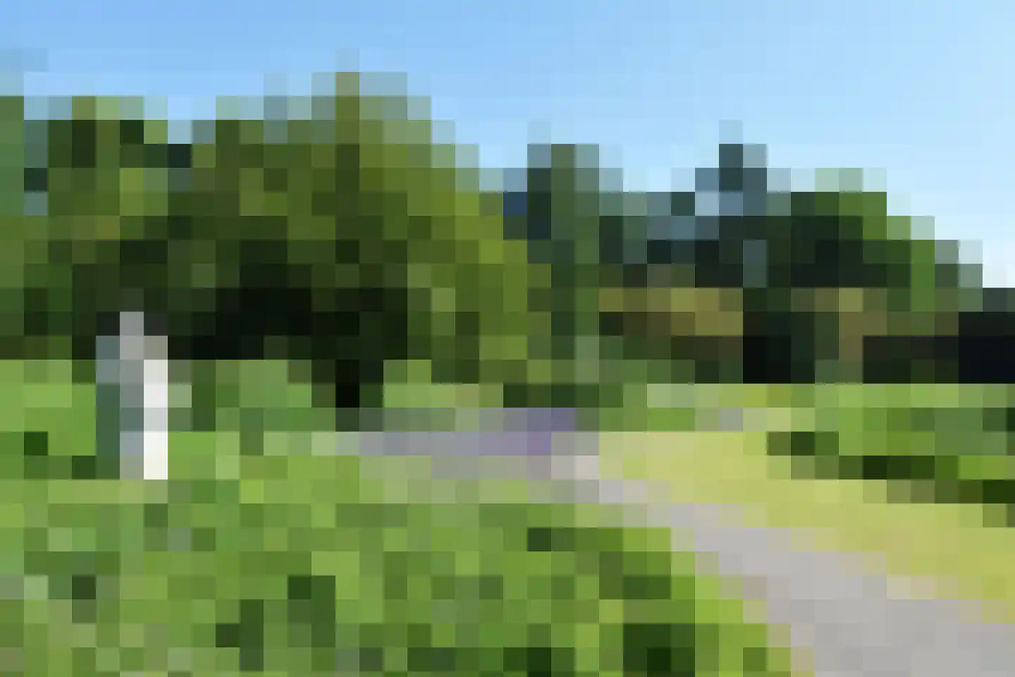 Grolloostraat 20 Den Haag thumbnail 43