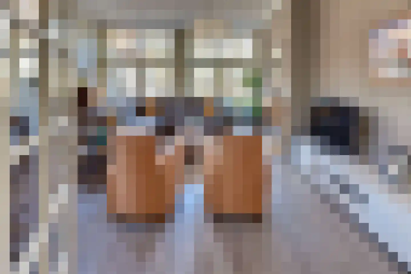 Grolsteeg 6 Harderwijk thumbnail 11