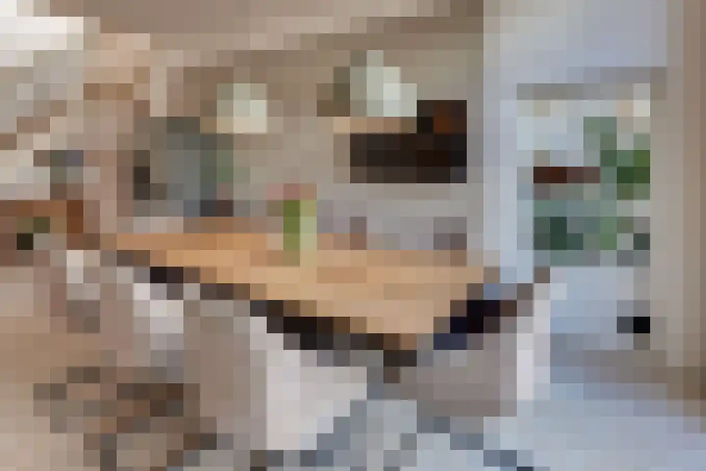 Grolsteeg 6 Harderwijk thumbnail 26