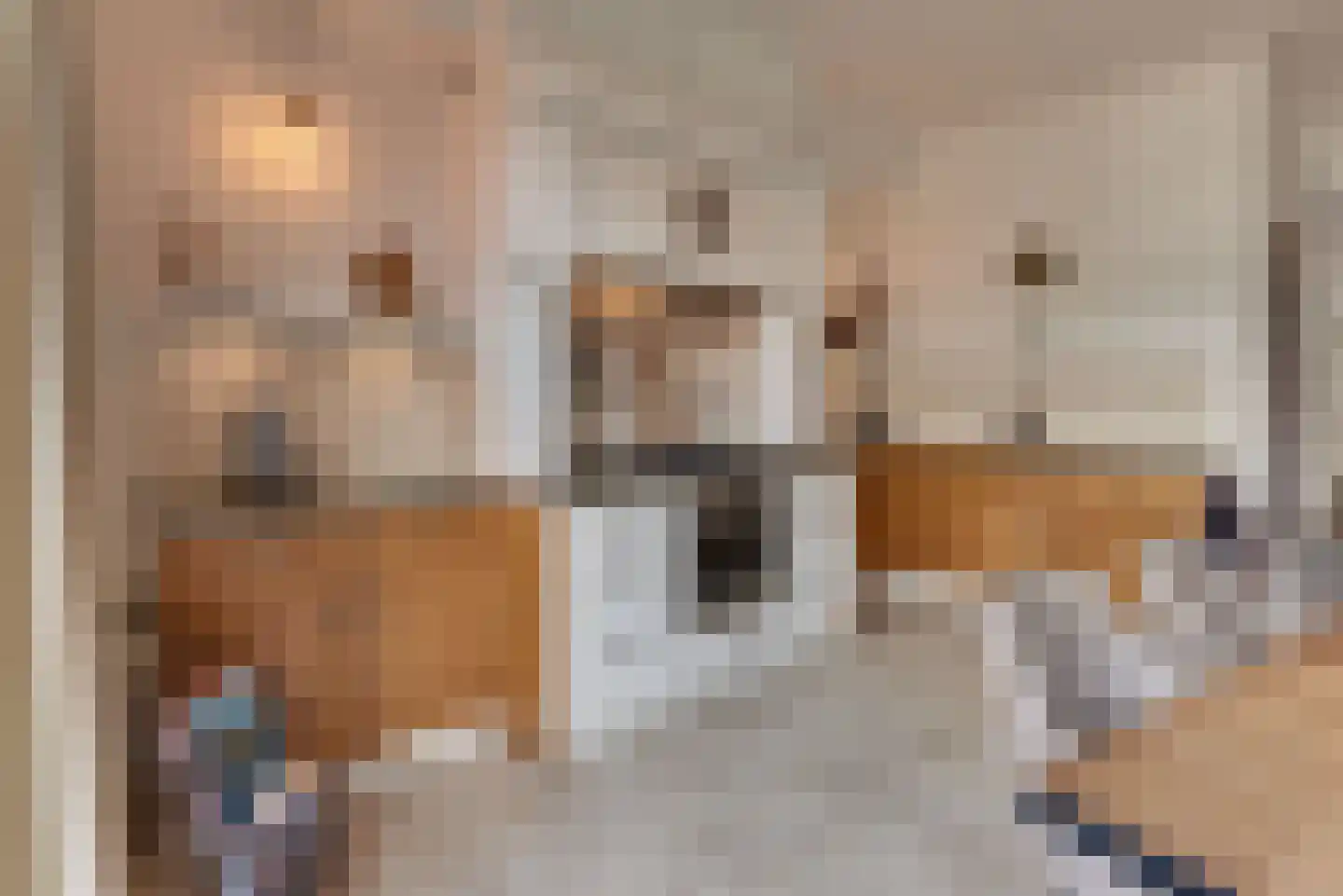 Grolsteeg 6 Harderwijk thumbnail 27