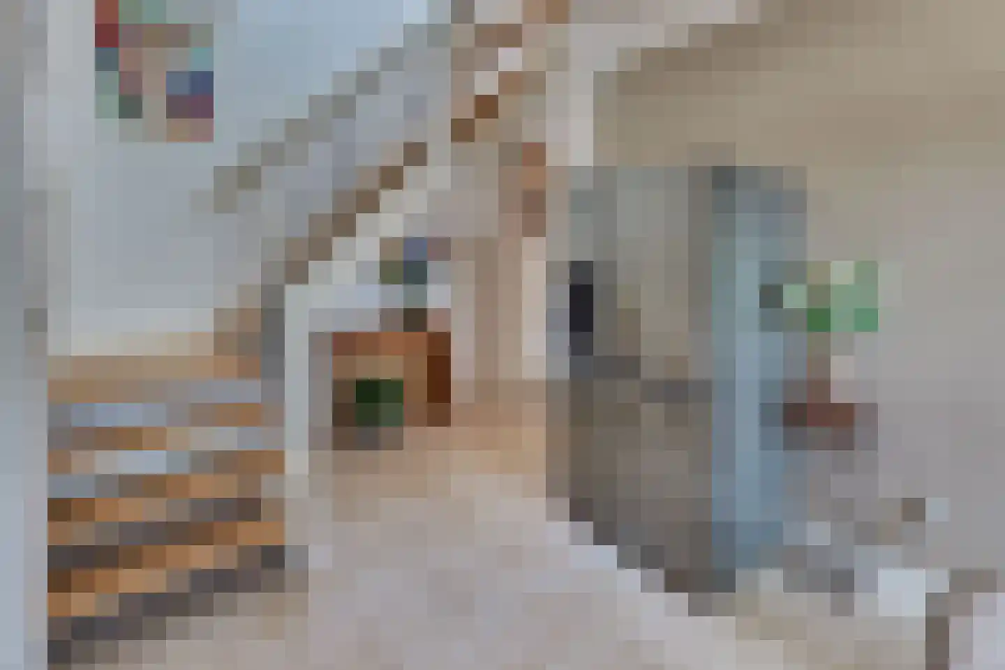 Grolsteeg 6 Harderwijk thumbnail 30