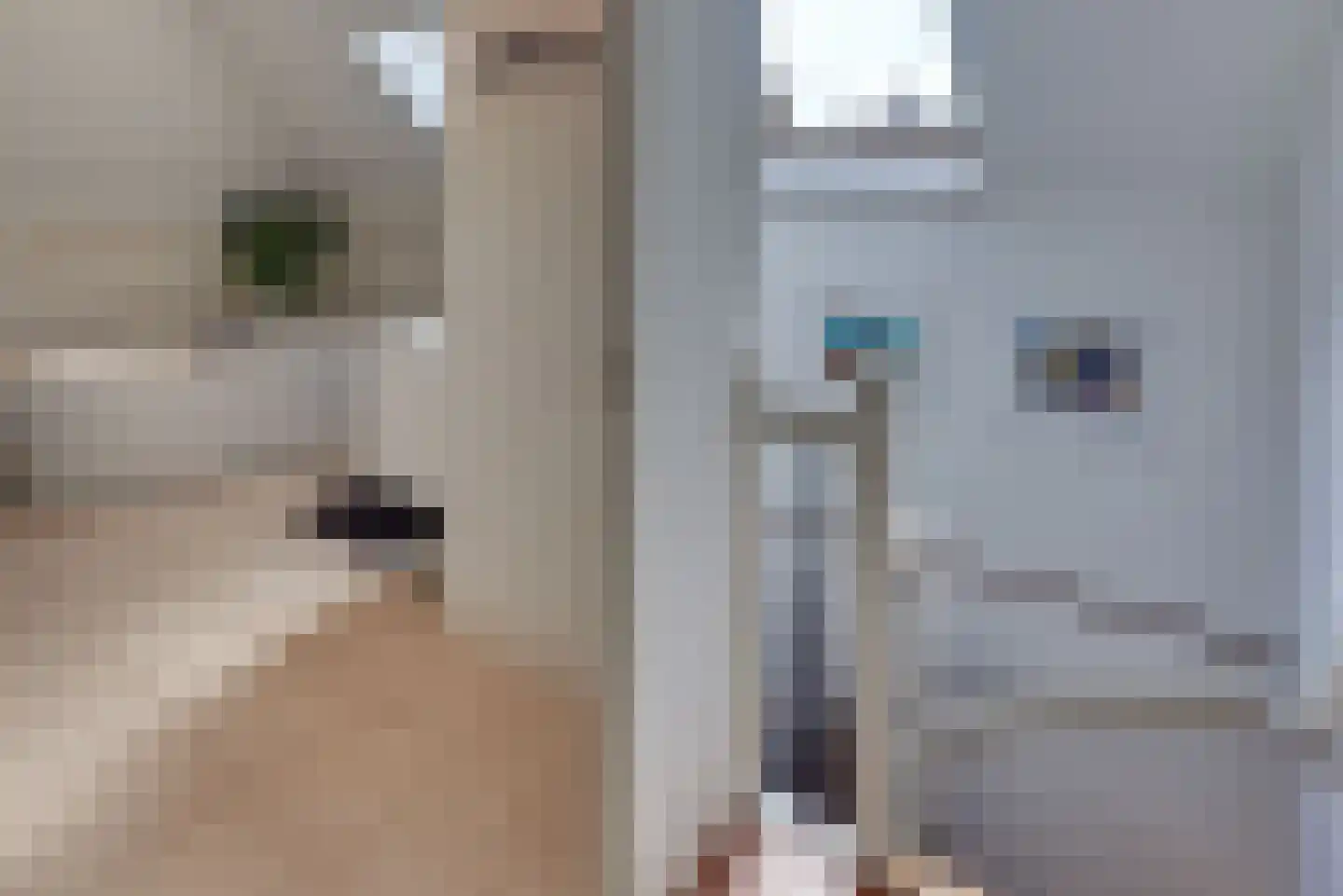 Grolsteeg 6 Harderwijk thumbnail 31