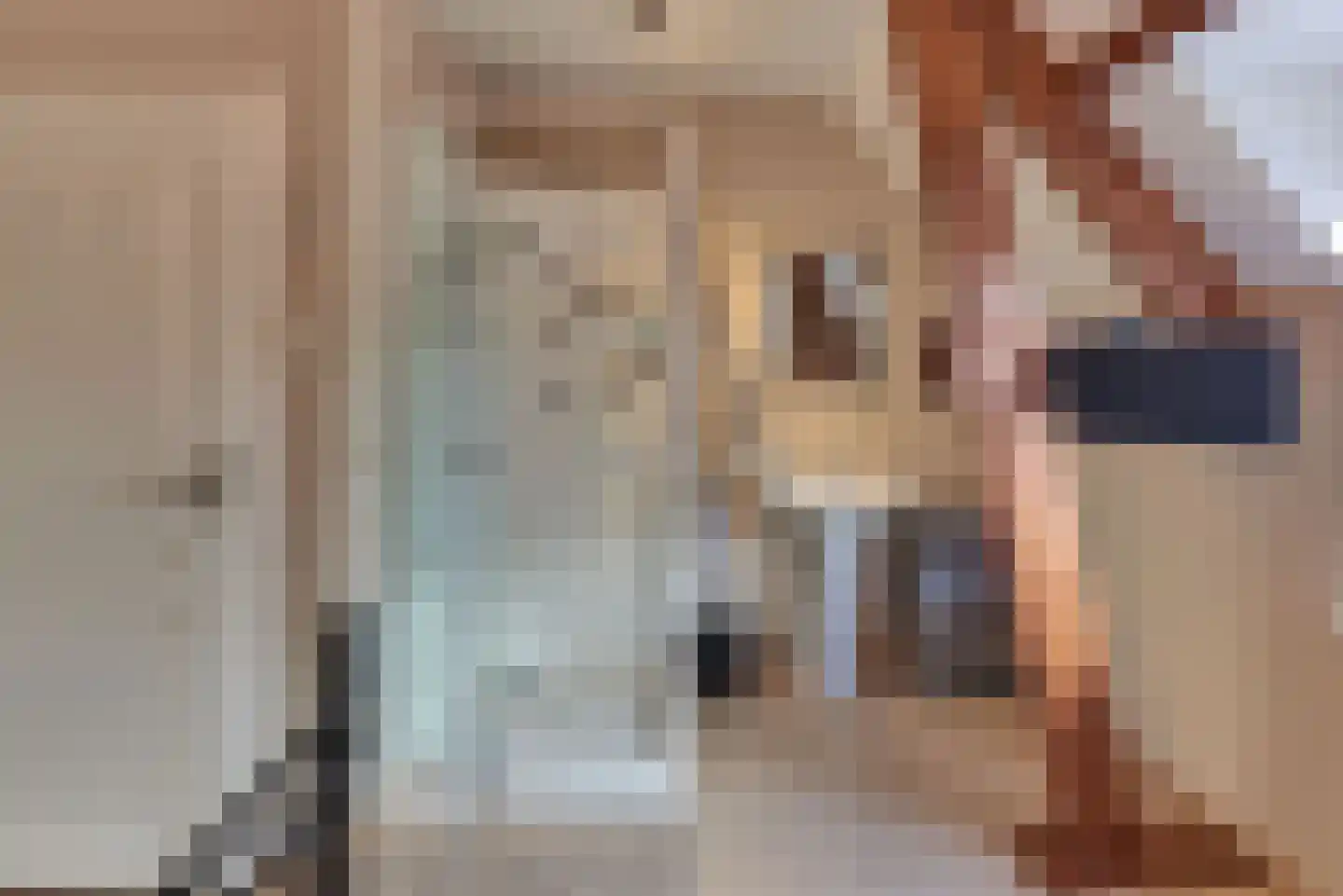 Grolsteeg 6 Harderwijk thumbnail 36
