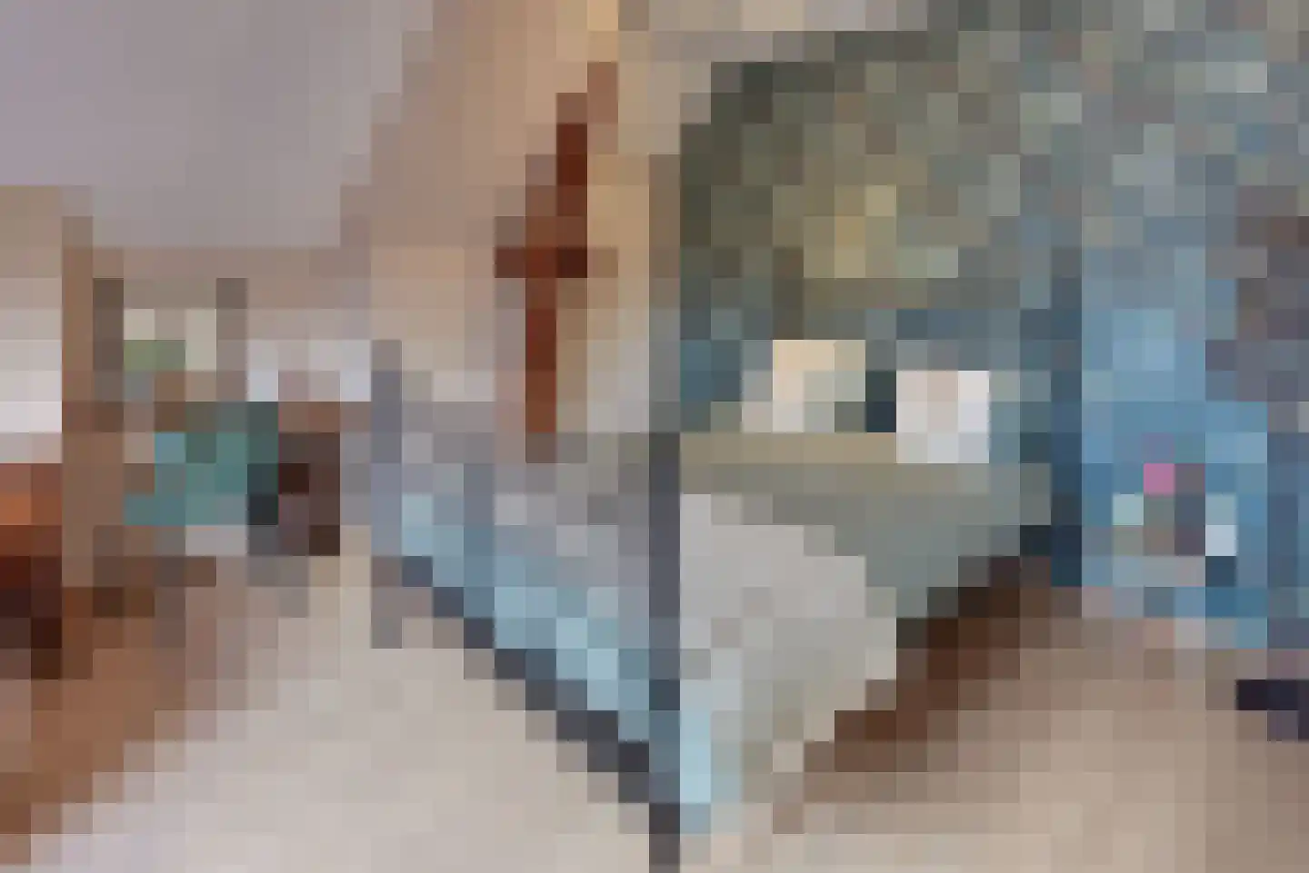 Grolsteeg 6 Harderwijk thumbnail 38