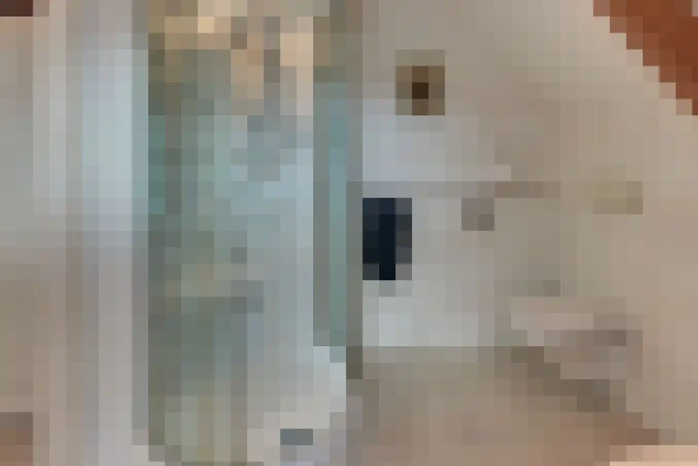 Grolsteeg 6 Harderwijk thumbnail 45