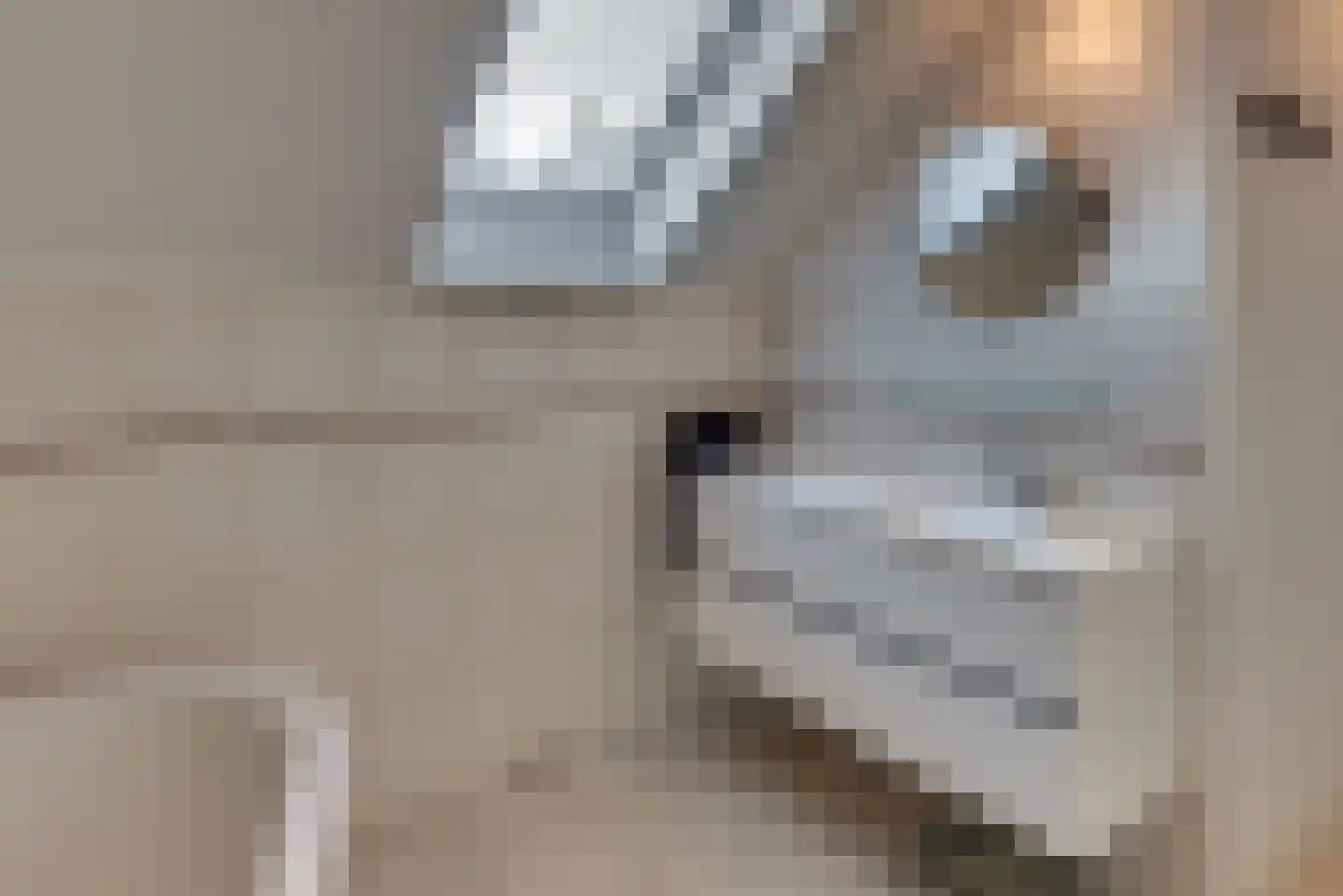 Grolsteeg 6 Harderwijk thumbnail 46