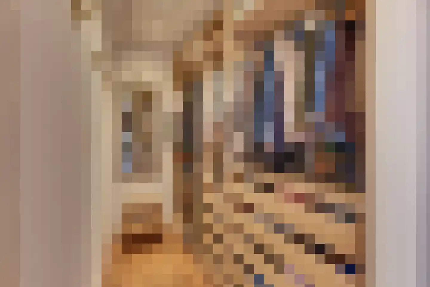 Grolsteeg 6 Harderwijk thumbnail 48