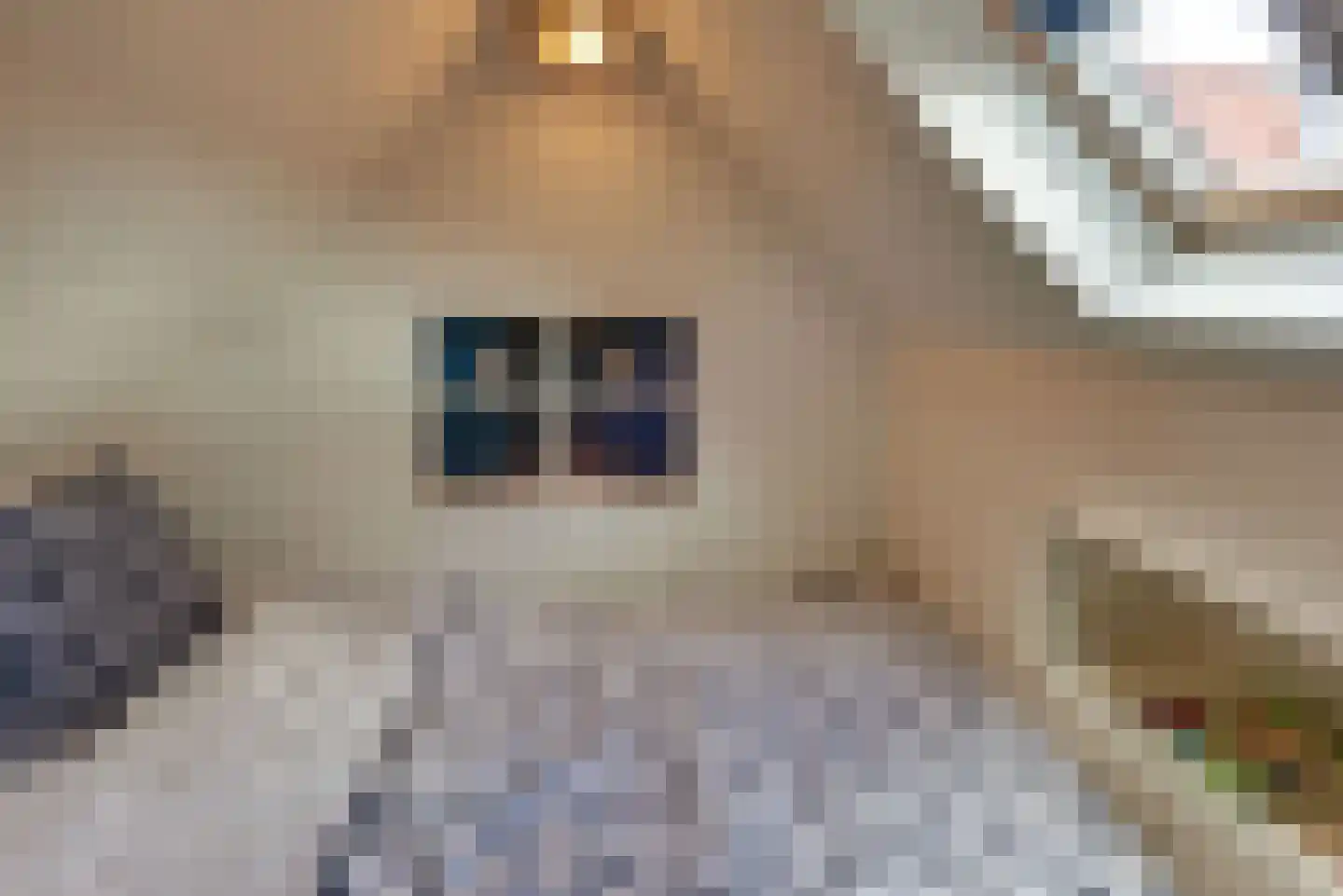 Grolsteeg 6 Harderwijk thumbnail 54