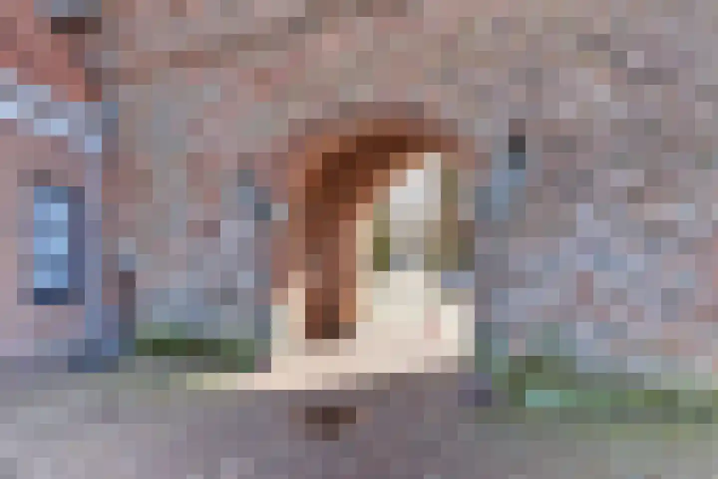 Grolsteeg 6 Harderwijk thumbnail 72