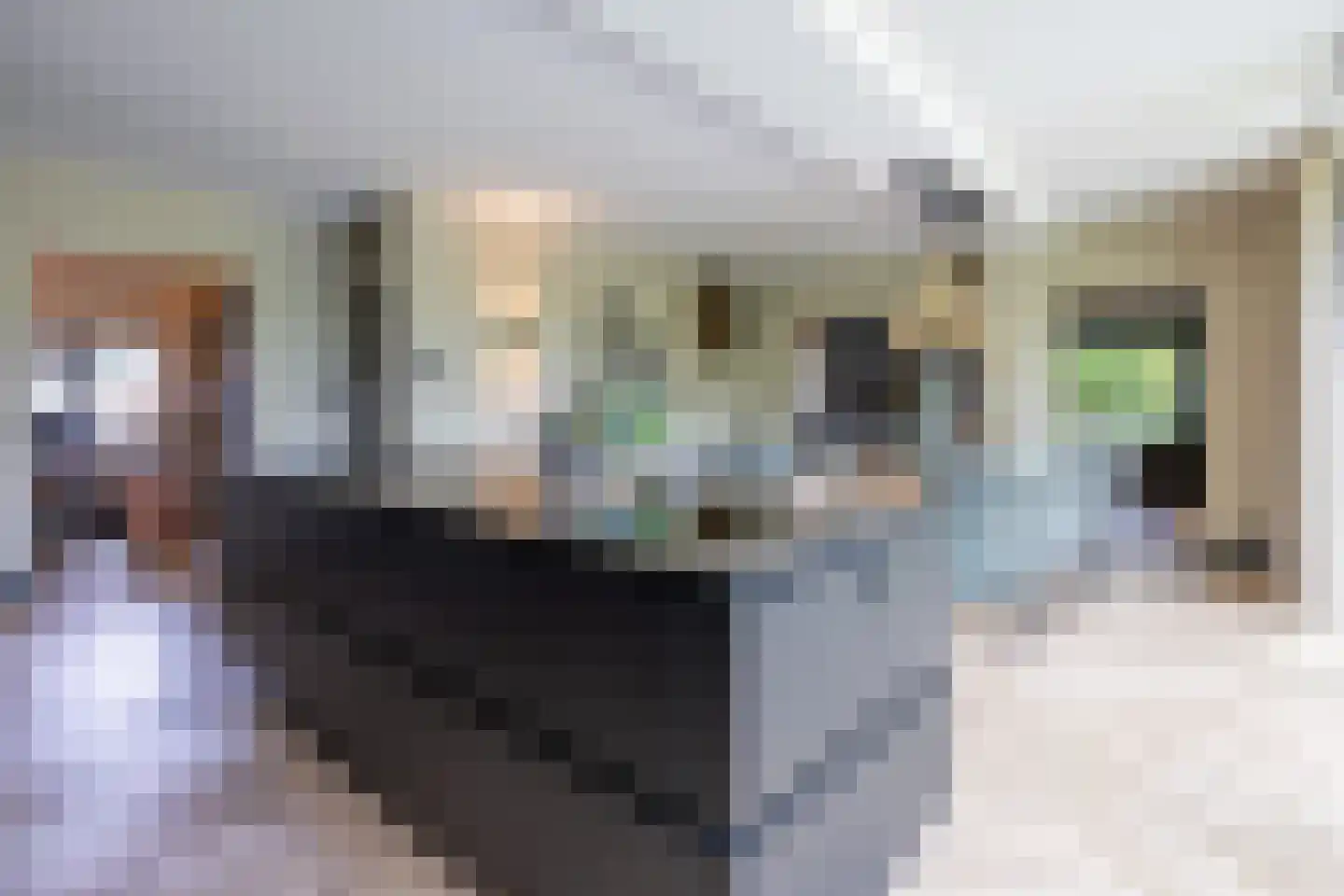 Gronausestraat 10 Losser thumbnail 12