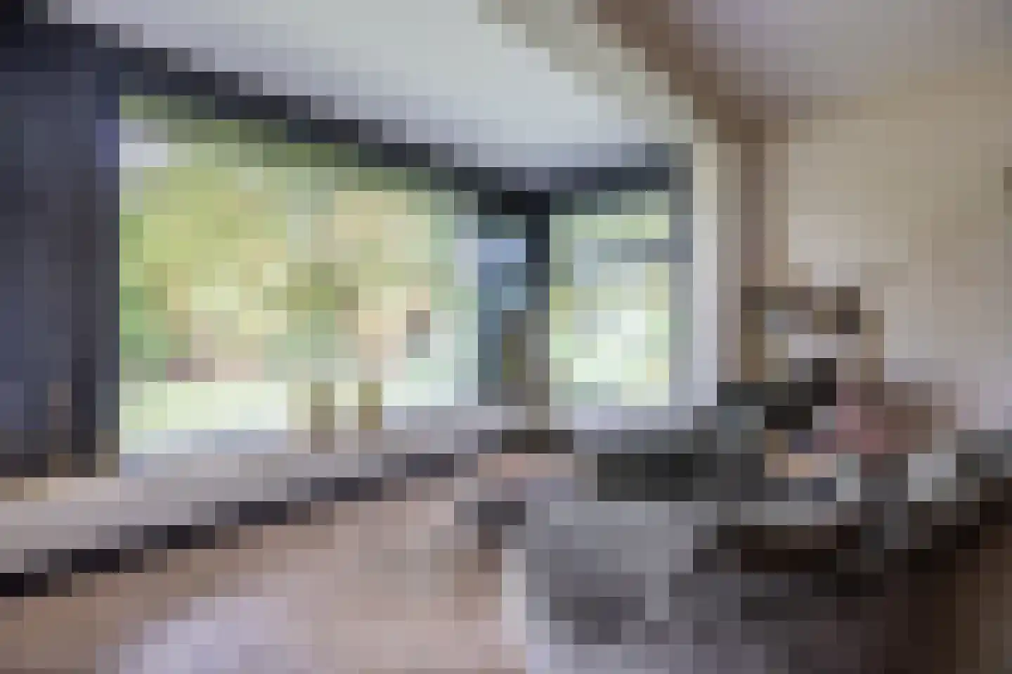 Gronausestraat 10 Losser thumbnail 18
