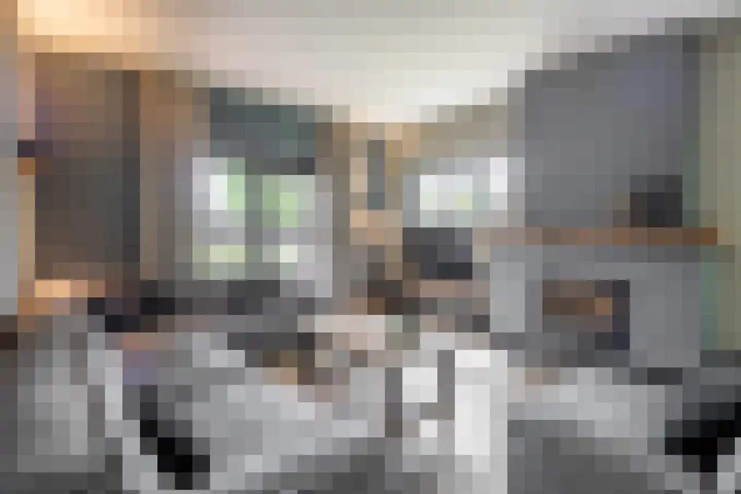 Gronausestraat 10 Losser thumbnail 22