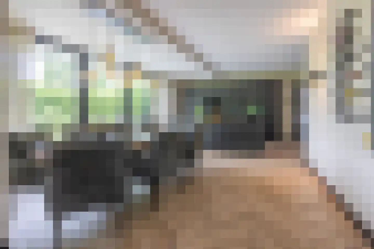 Gronausestraat 10 Losser thumbnail 26
