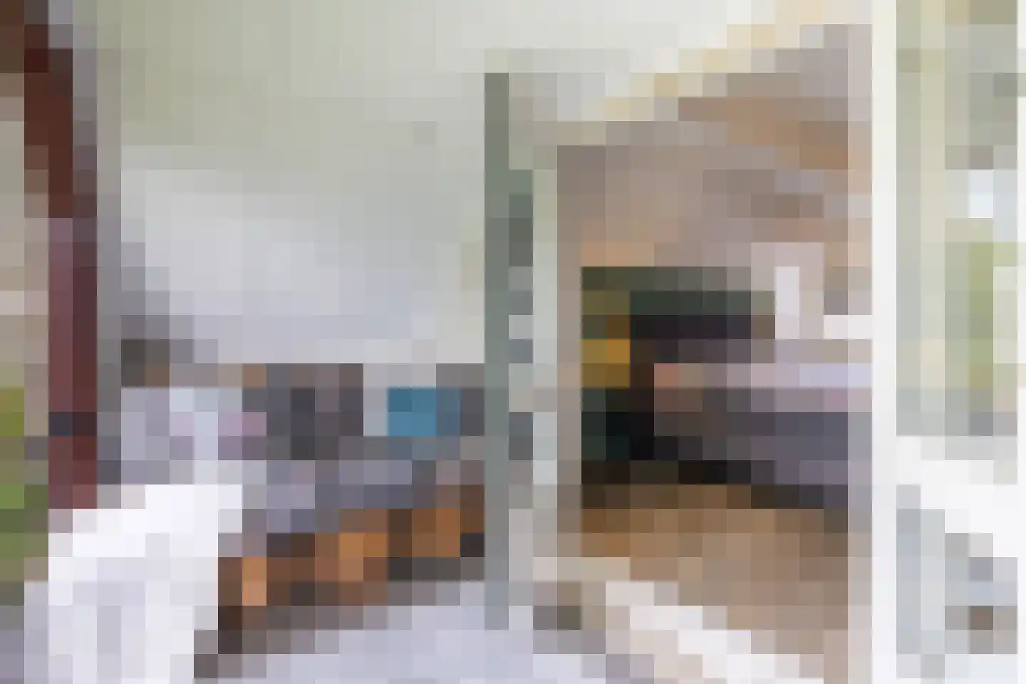 Gronausestraat 10 Losser thumbnail 35