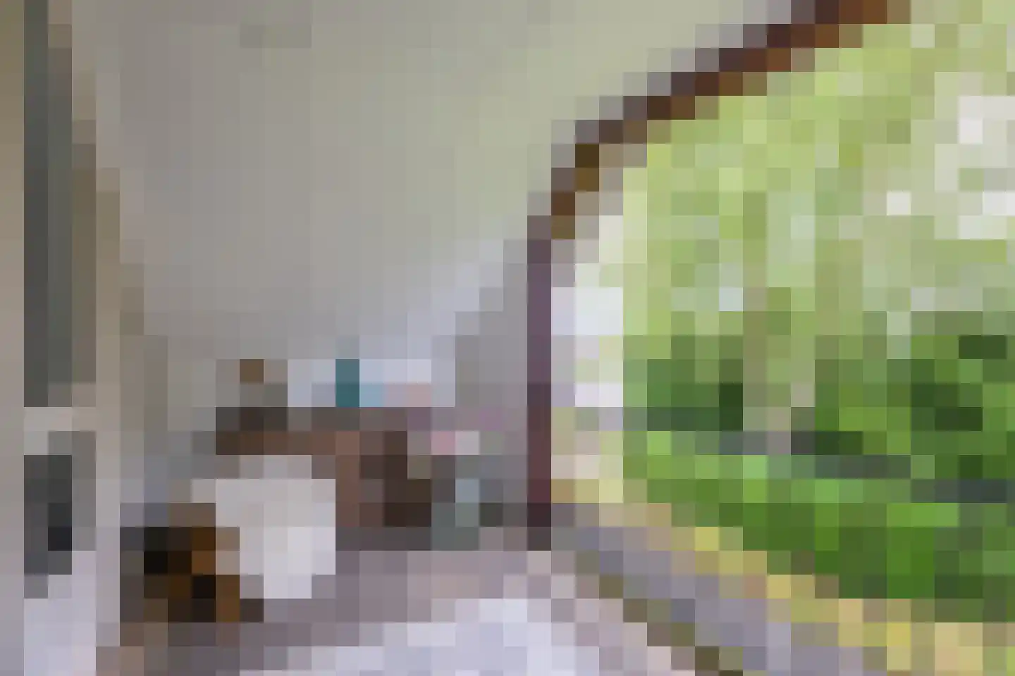 Gronausestraat 10 Losser thumbnail 36