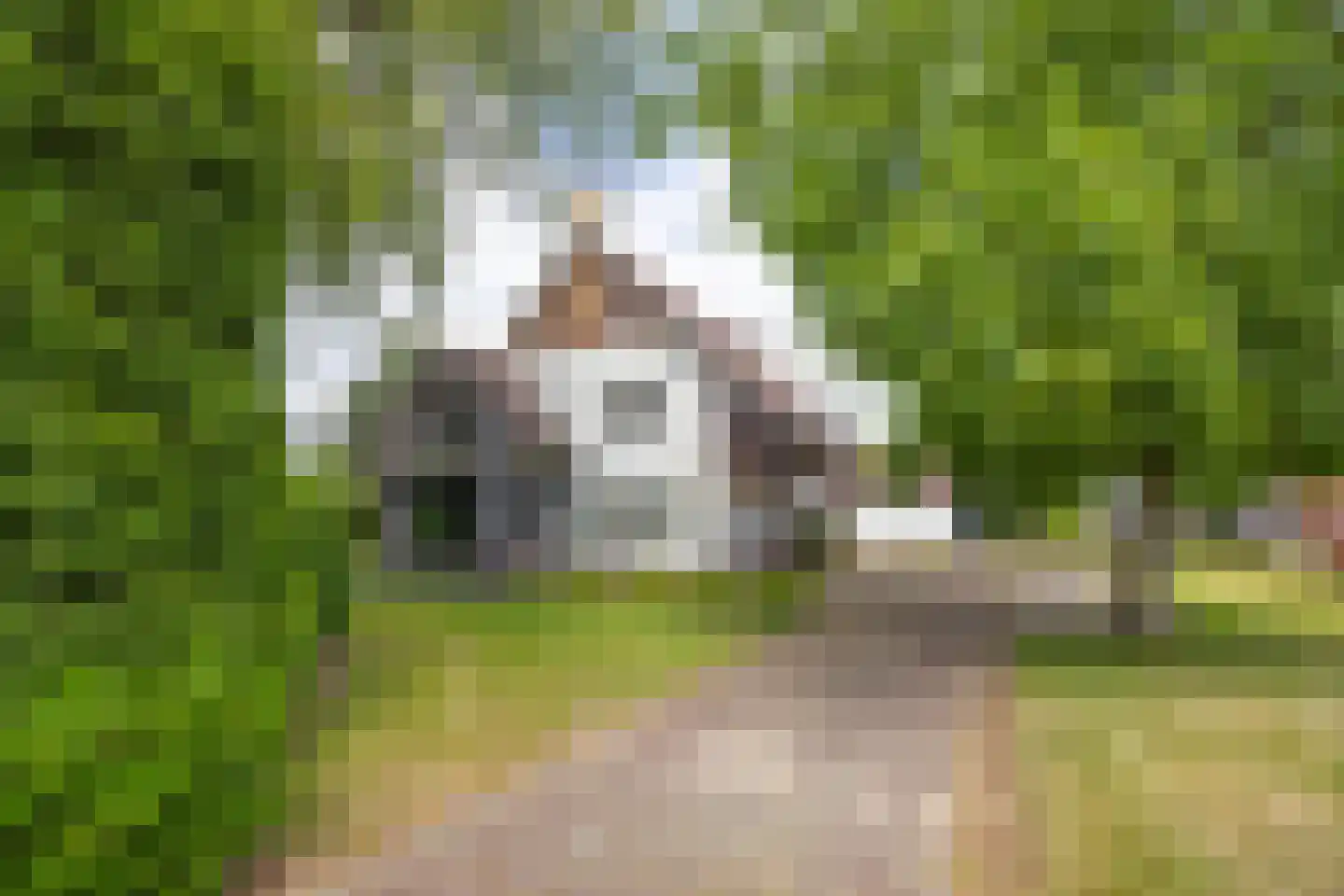 Gronausestraat 10 Losser thumbnail 4