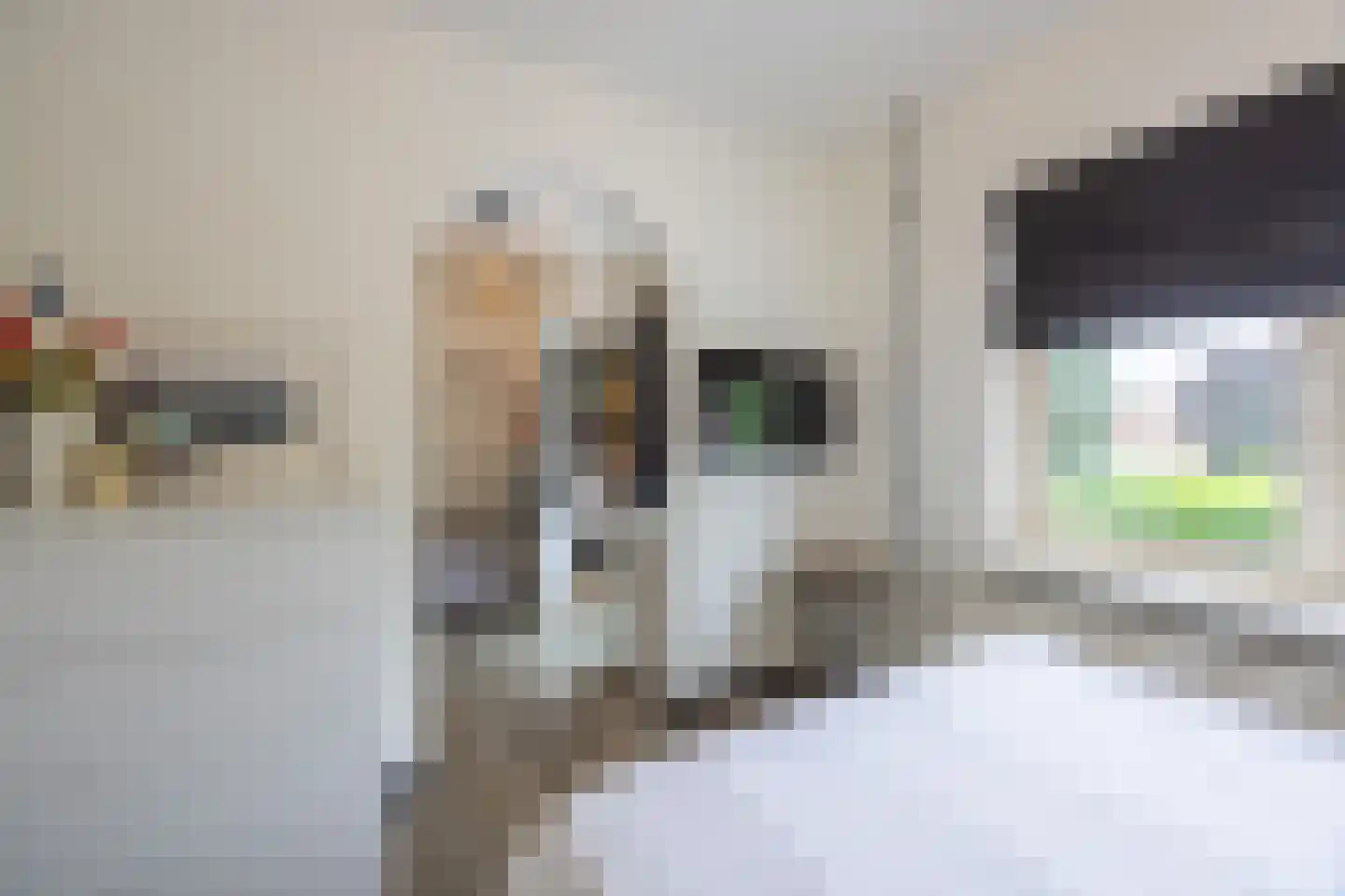 Gronausestraat 10 Losser thumbnail 40