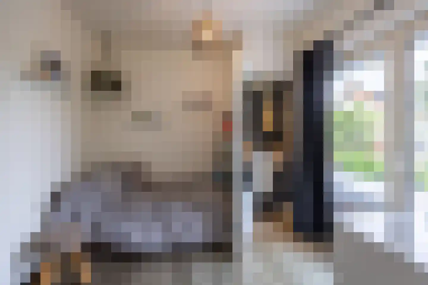 Gronausestraat 10 Losser thumbnail 41