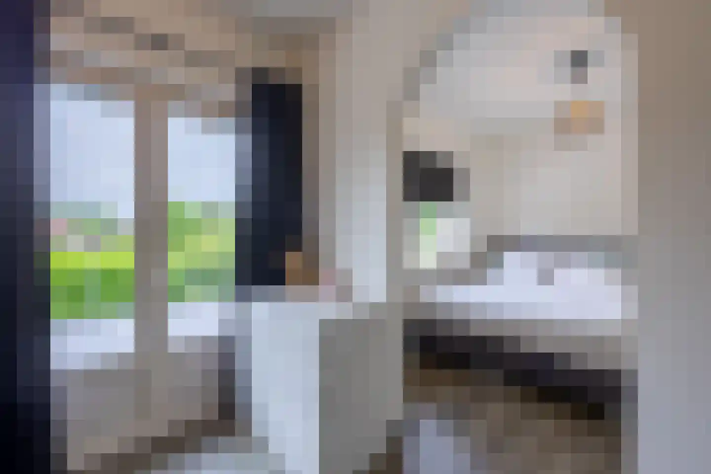 Gronausestraat 10 Losser thumbnail 42