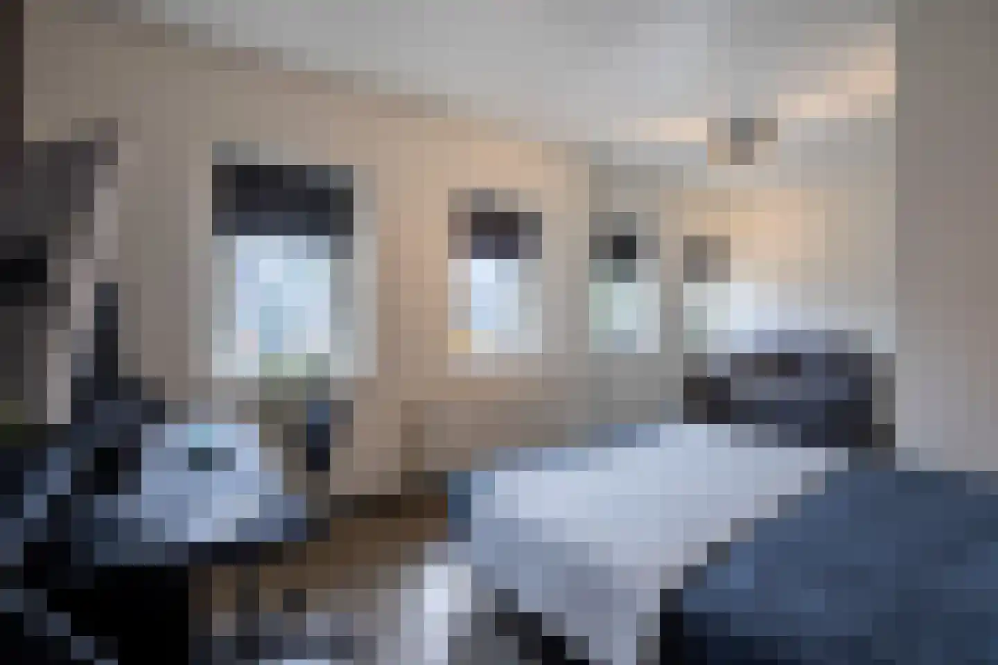 Gronausestraat 10 Losser thumbnail 43