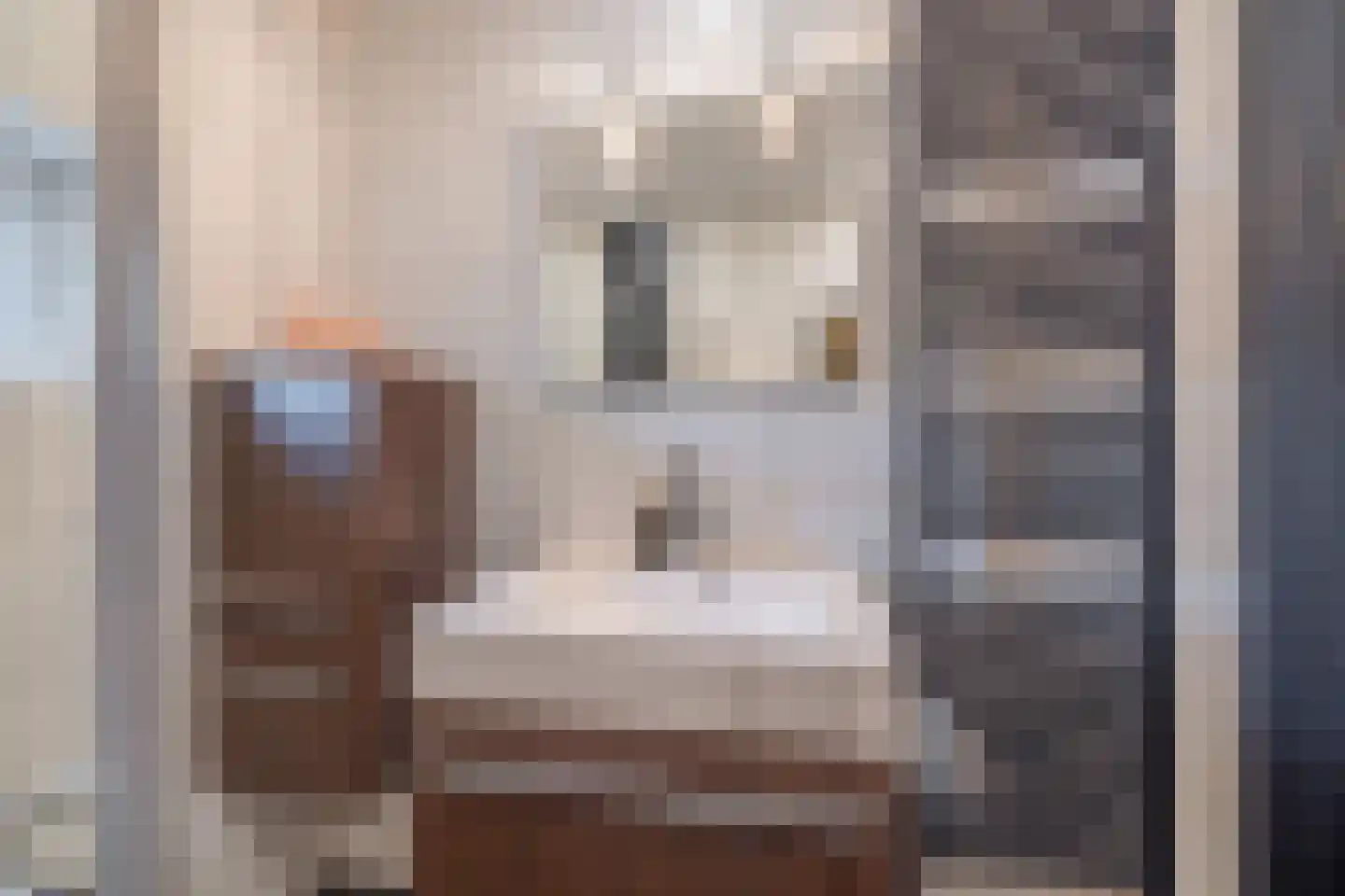 Gronausestraat 10 Losser thumbnail 45