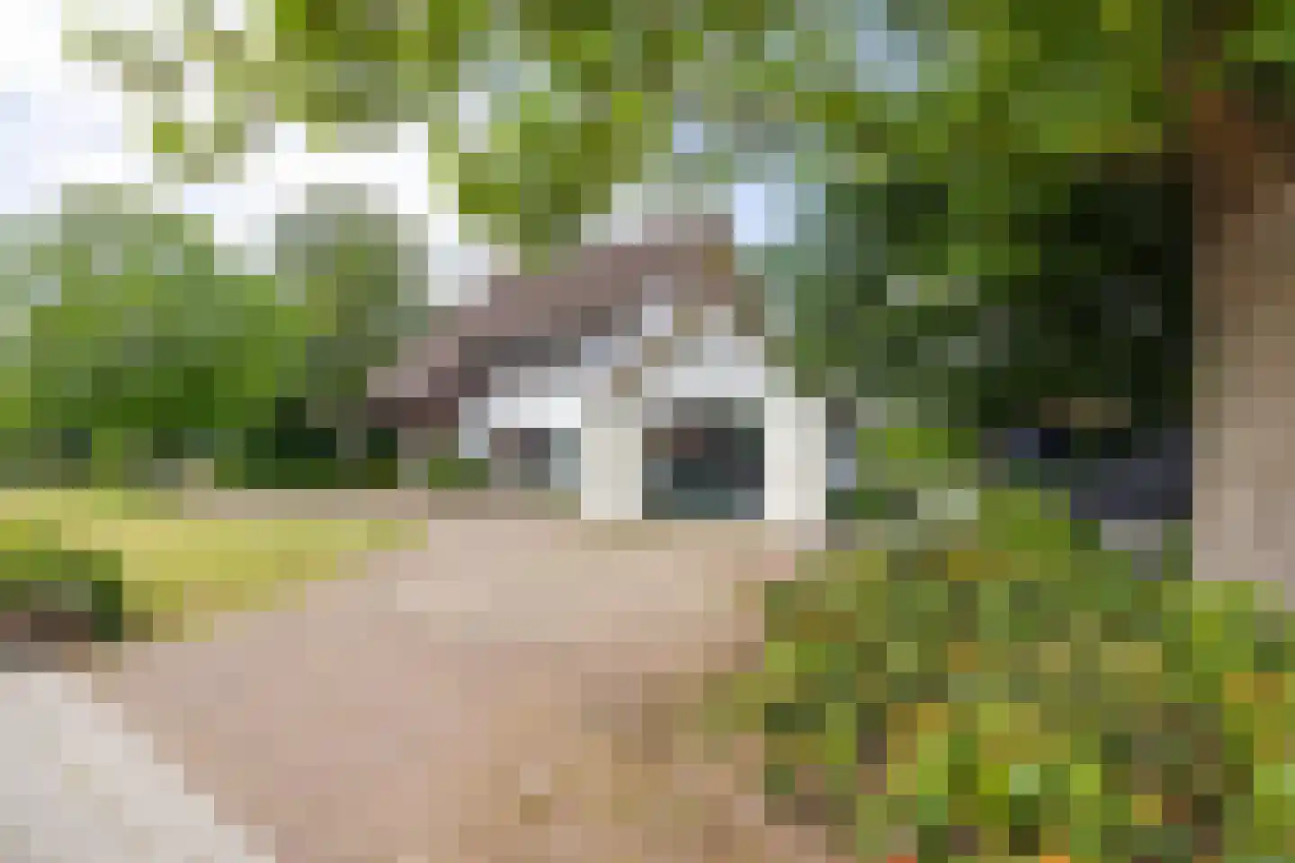 Gronausestraat 10 Losser thumbnail 5