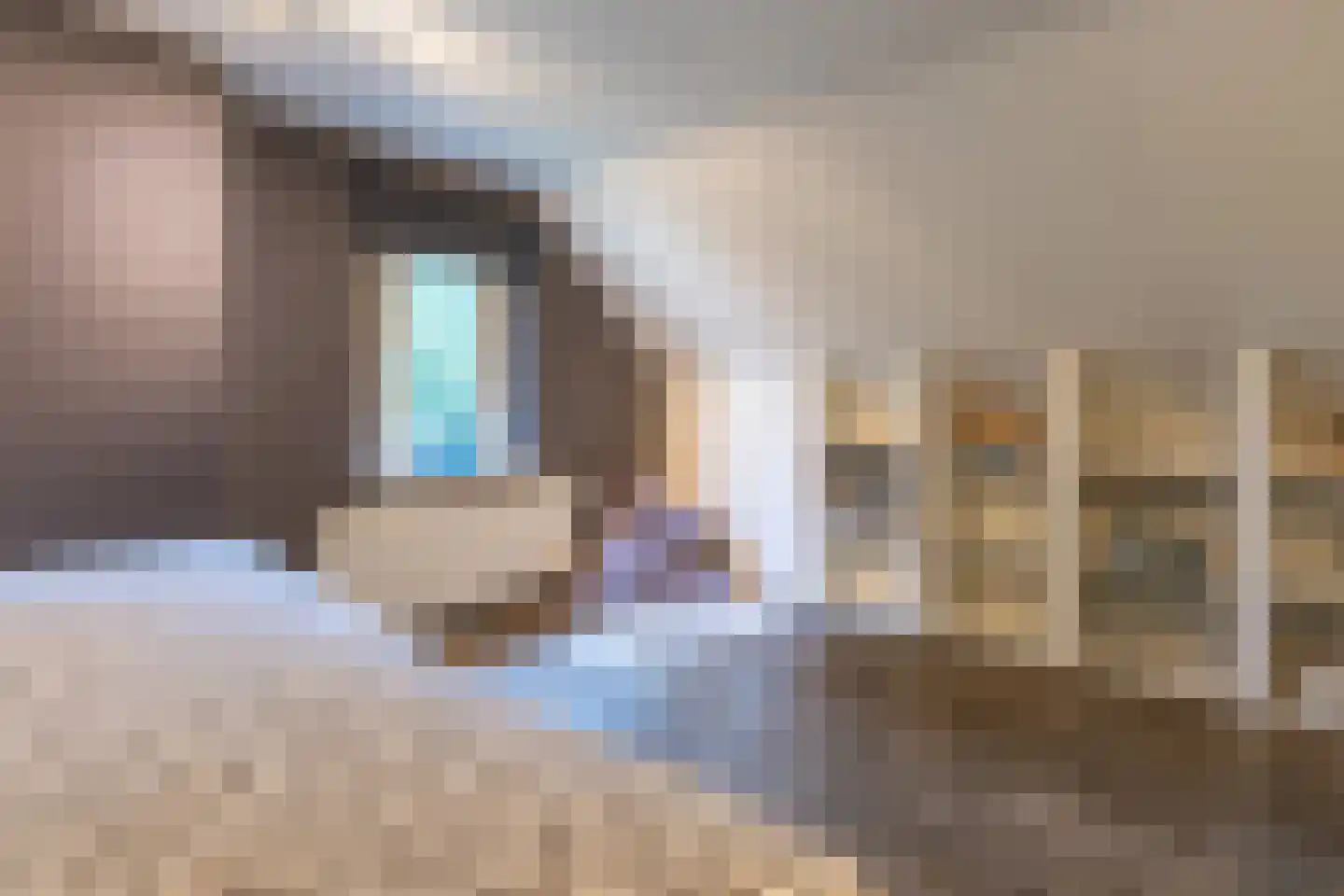 Gronausestraat 10 Losser thumbnail 53