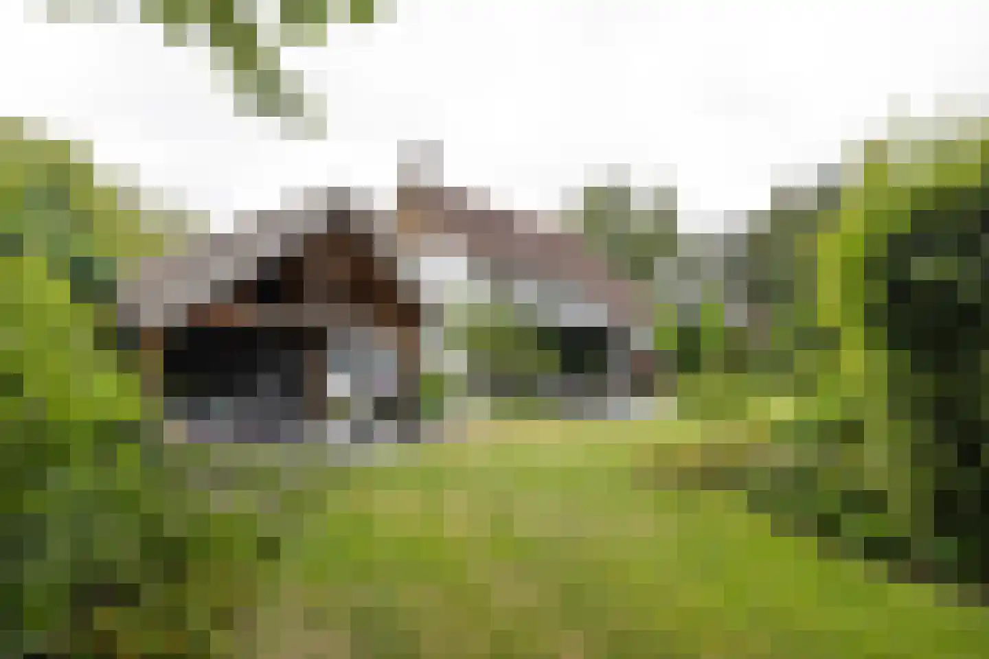 Gronausestraat 10 Losser thumbnail 54