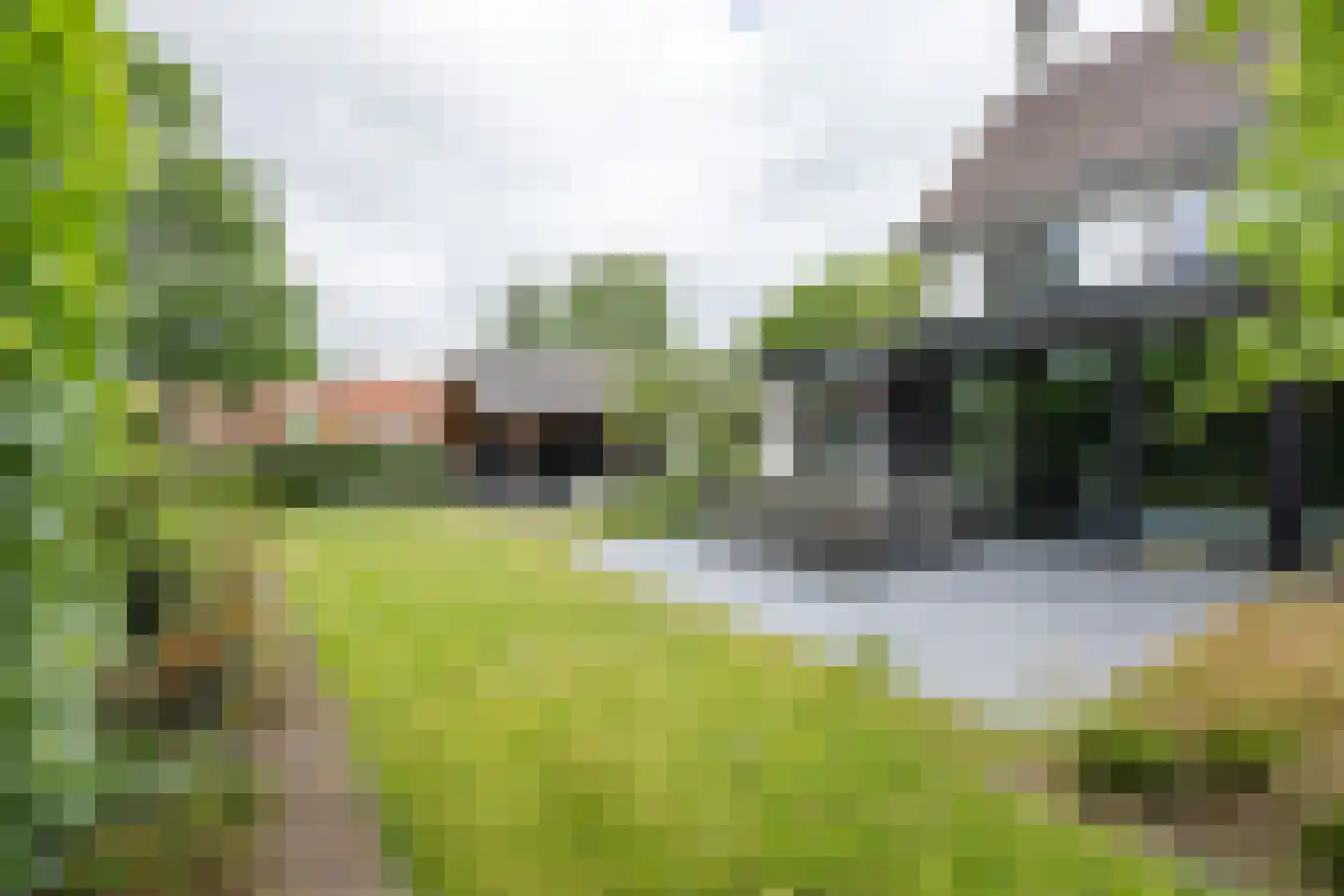 Gronausestraat 10 Losser thumbnail 56