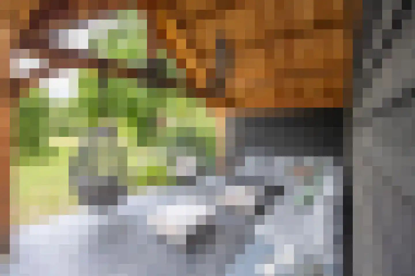 Gronausestraat 10 Losser thumbnail 60