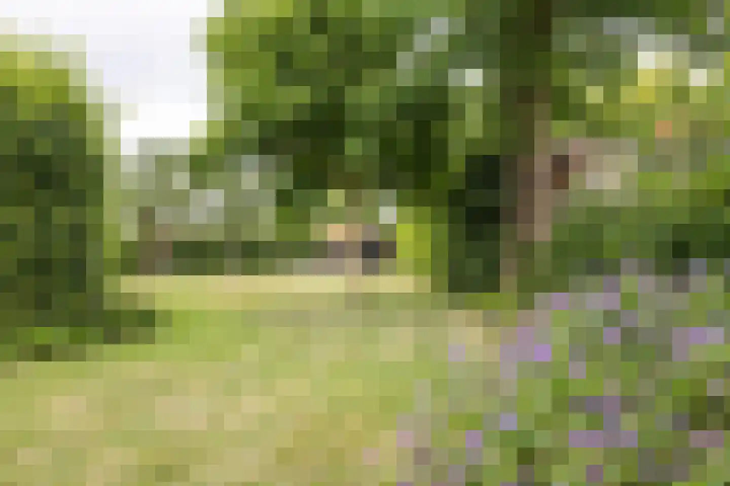 Gronausestraat 10 Losser thumbnail 61