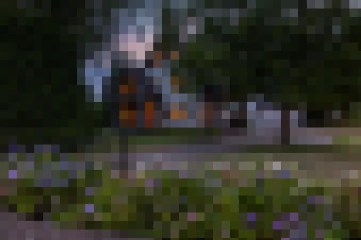 Gronausestraat 10 Losser thumbnail 67
