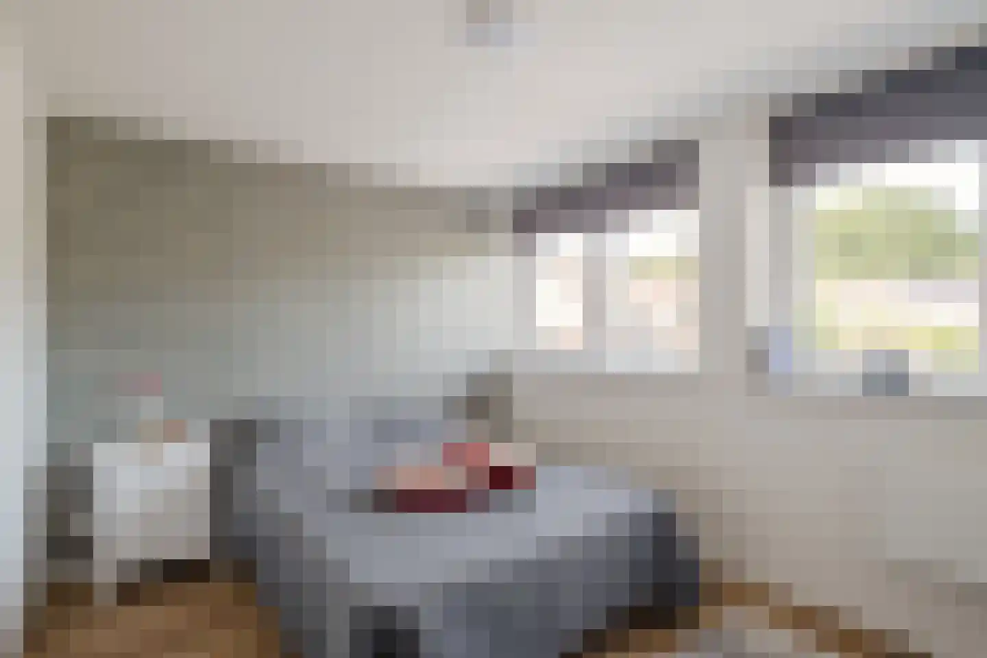 Gronausestraat 120 Losser thumbnail 18
