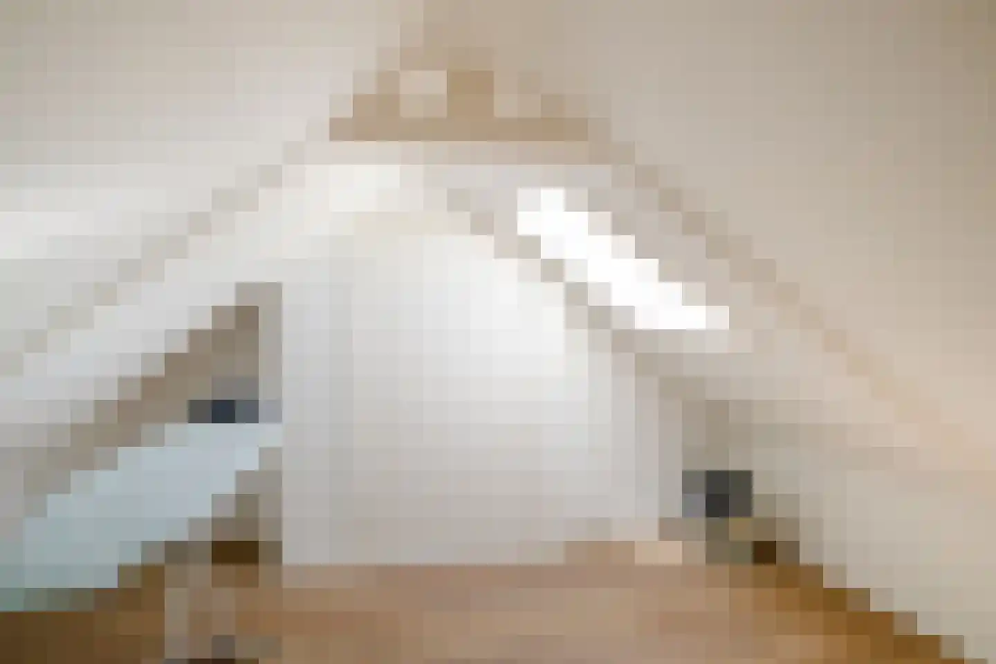 Gronausestraat 120 Losser thumbnail 24