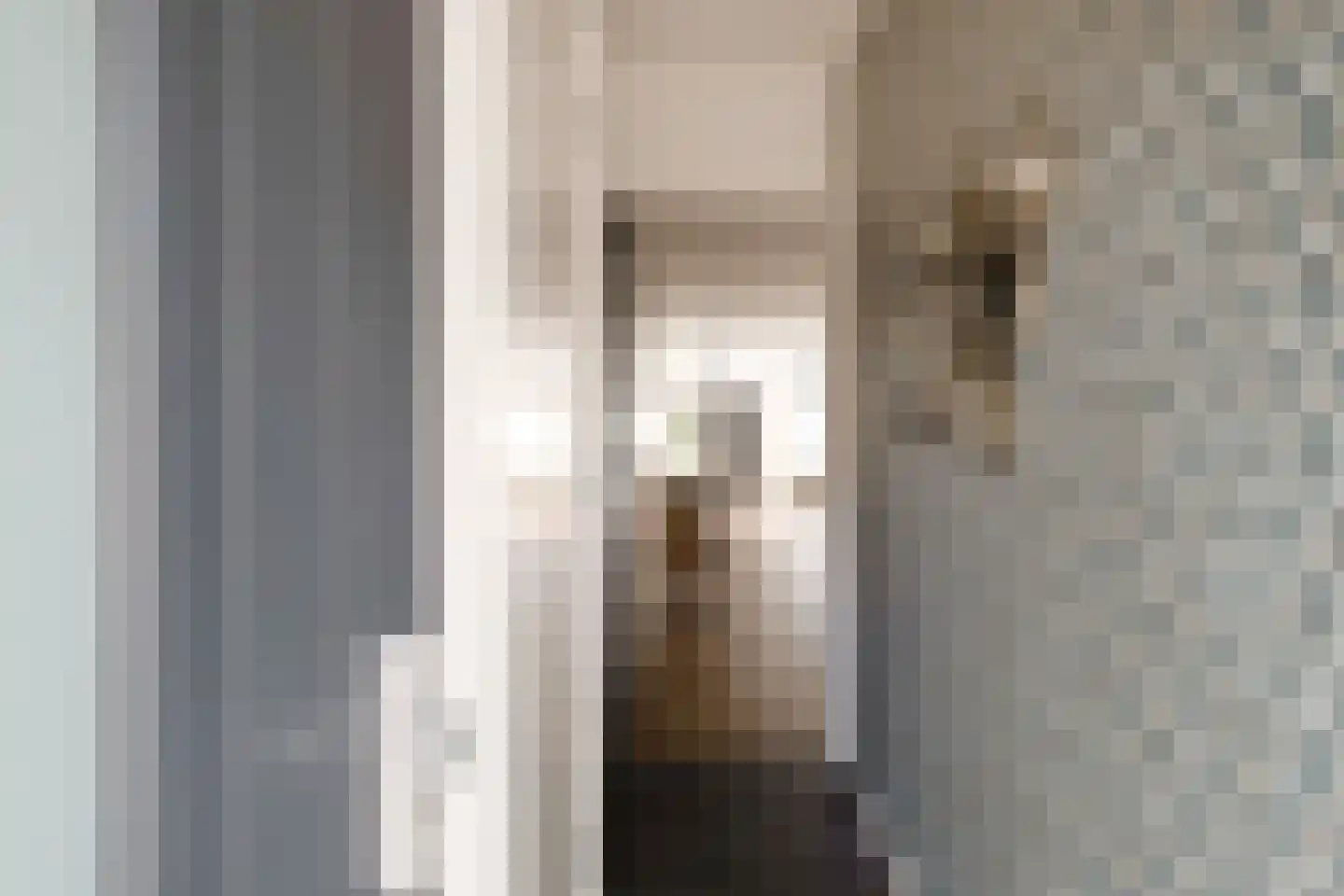 Gronausestraat 120 Losser thumbnail 5