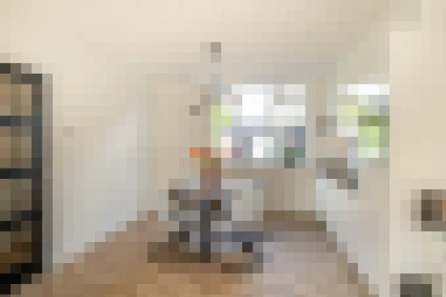 Gronausestraat 123 Losser thumbnail 11