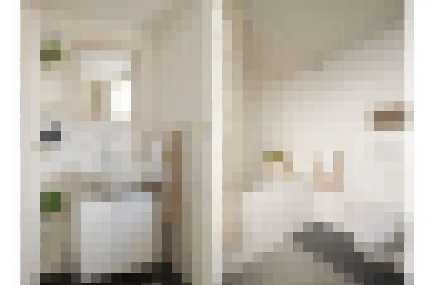 Gronausestraat 123 Losser thumbnail 27