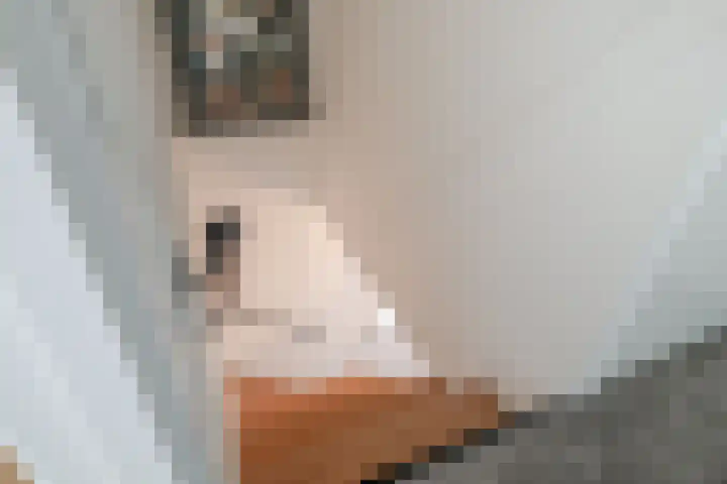 Gronausestraat 123 Losser thumbnail 28