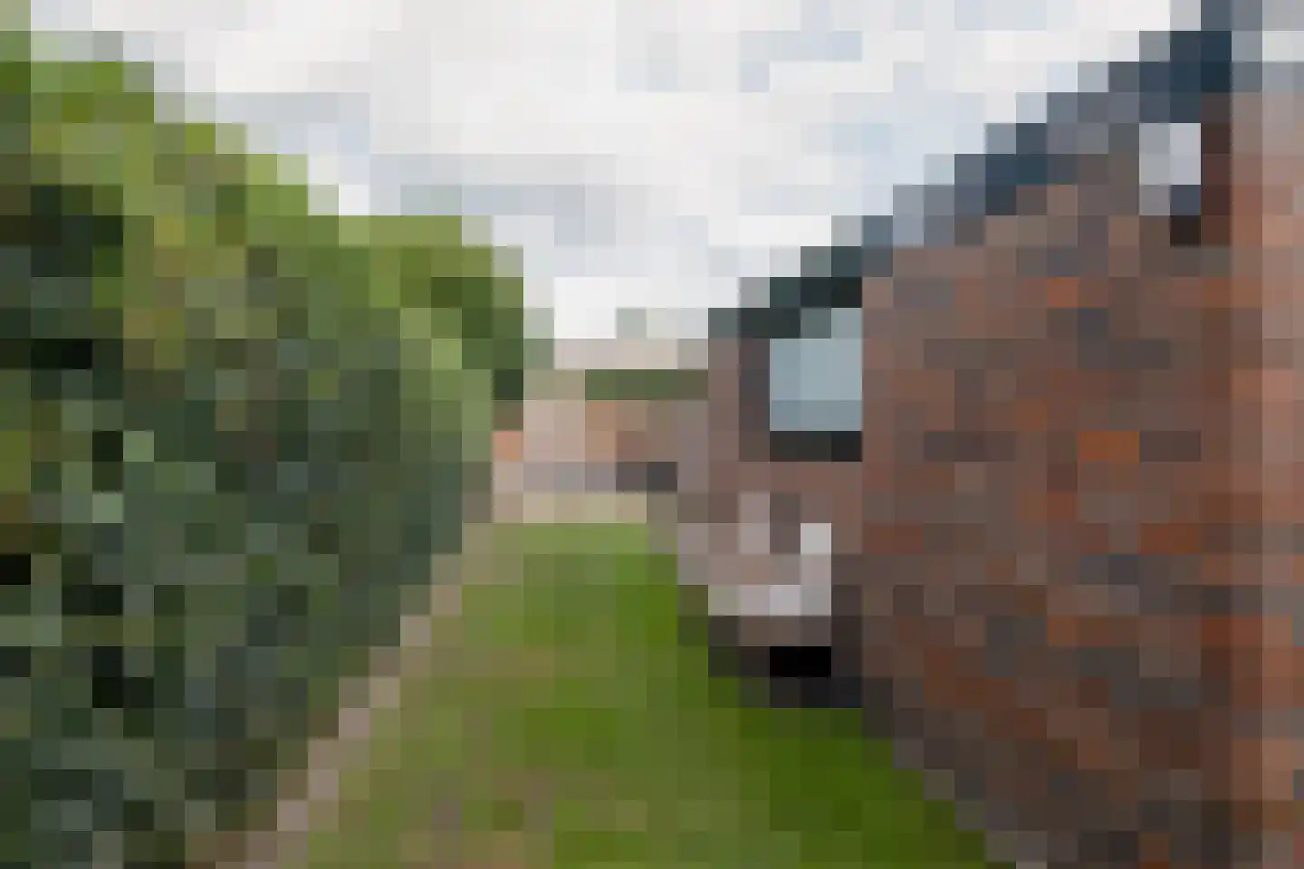 Gronausestraat 123 Losser thumbnail 33