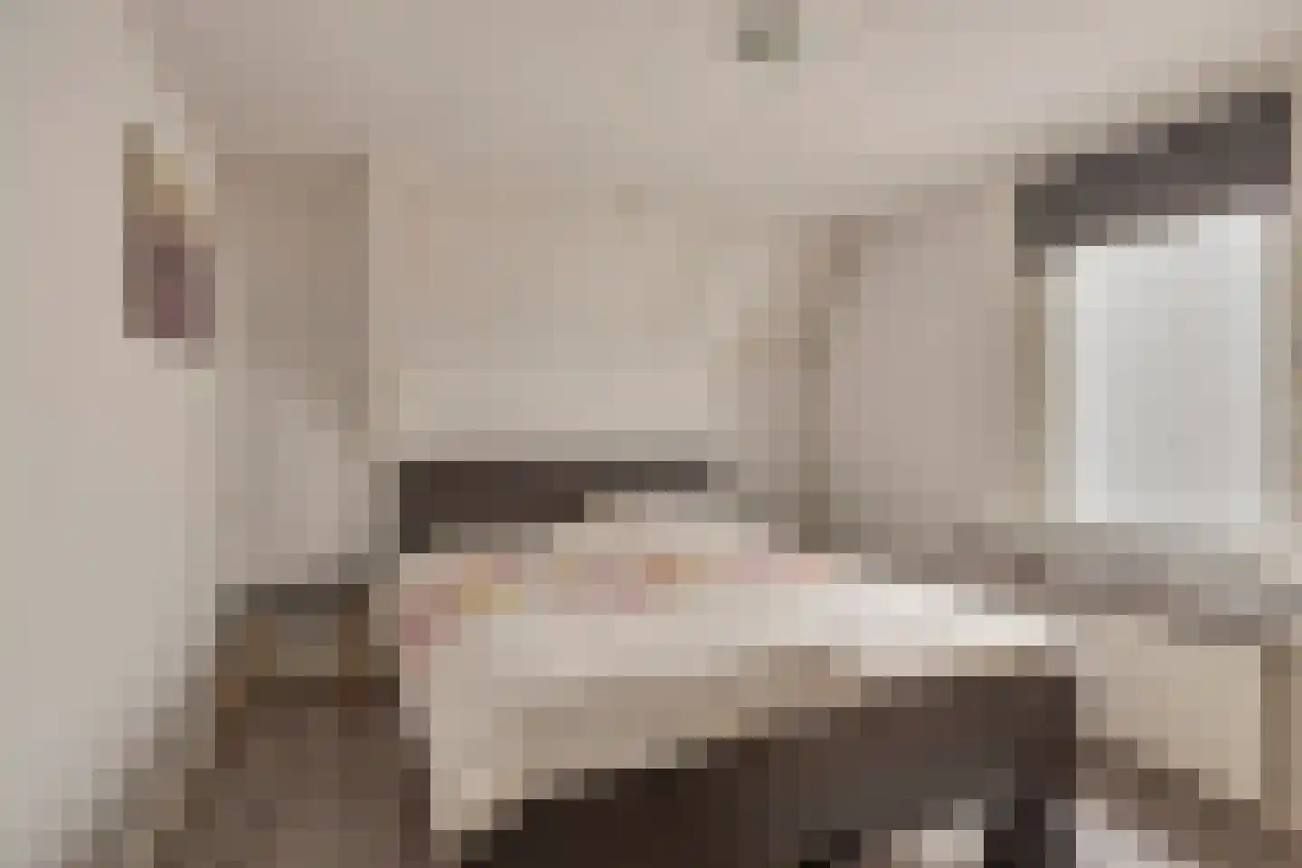 Gronausestraat 133 Losser thumbnail 19
