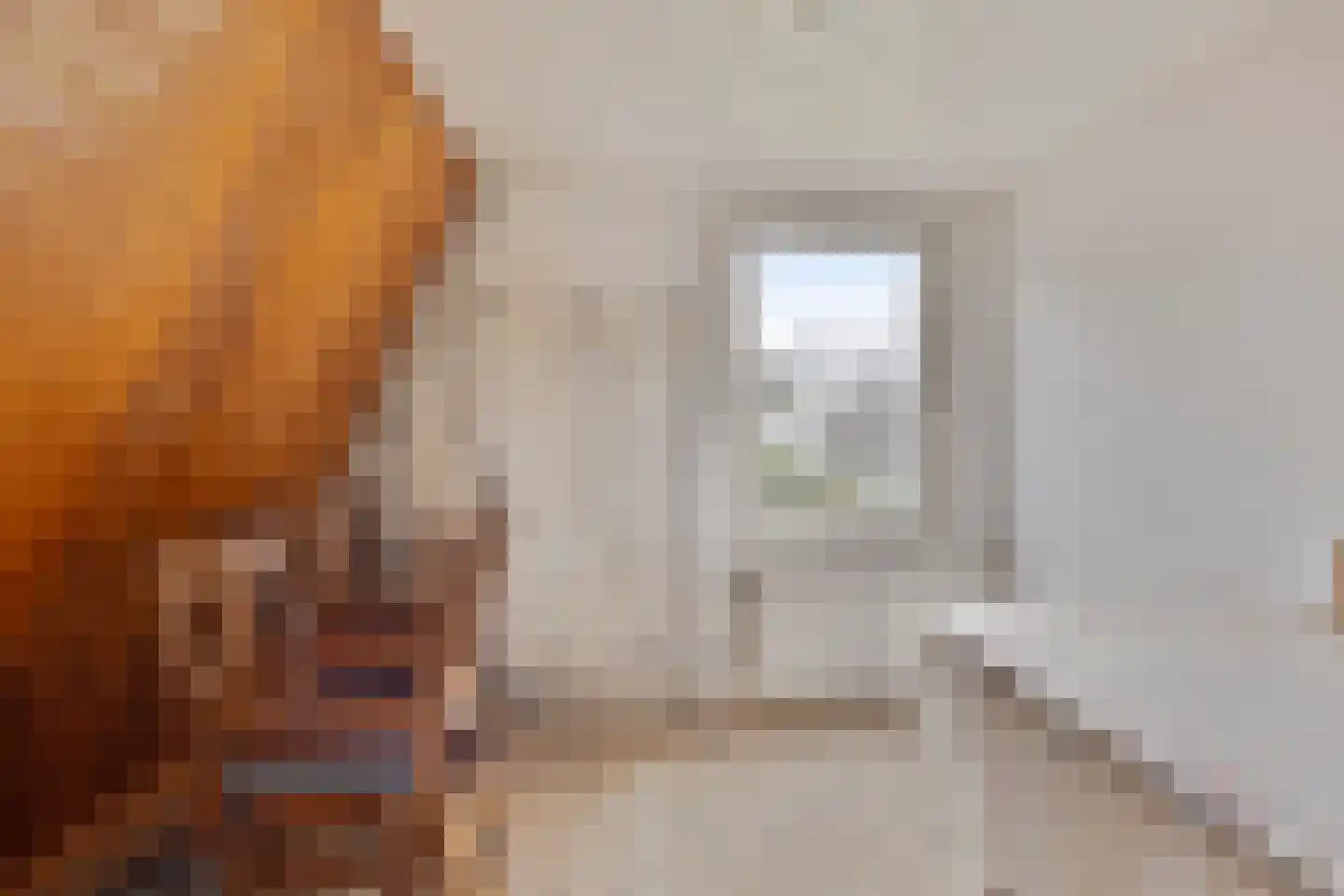 Gronausestraat 133 Losser thumbnail 24