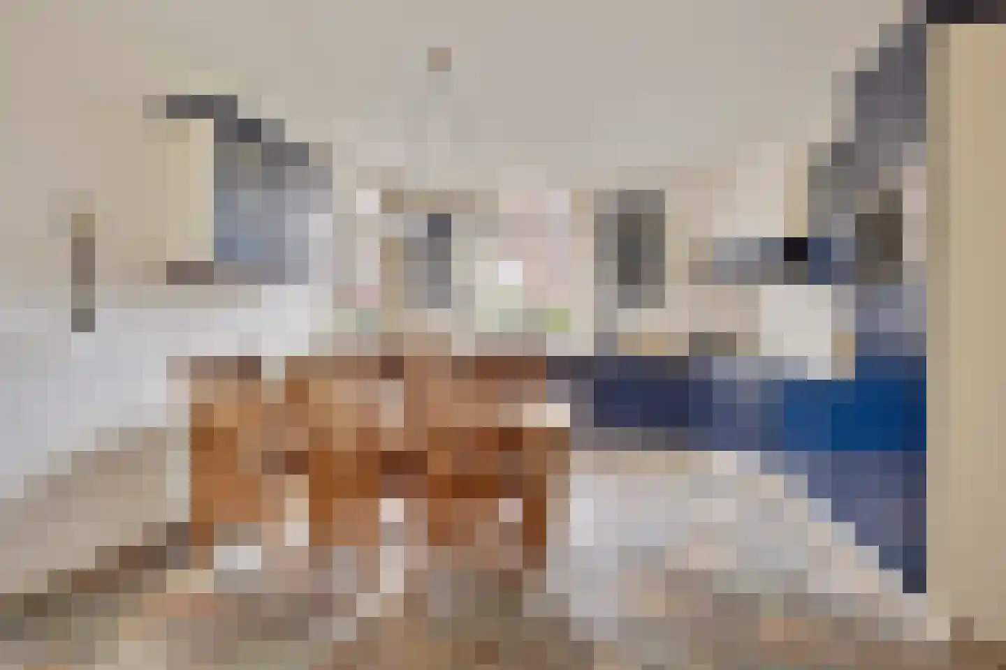 Gronausestraat 133 Losser thumbnail 5