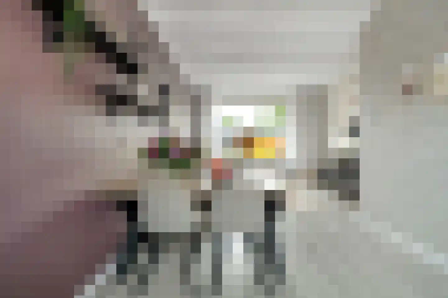 Gronausestraat 173 Losser thumbnail 13