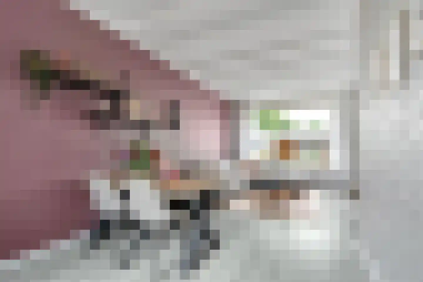 Gronausestraat 173 Losser thumbnail 15