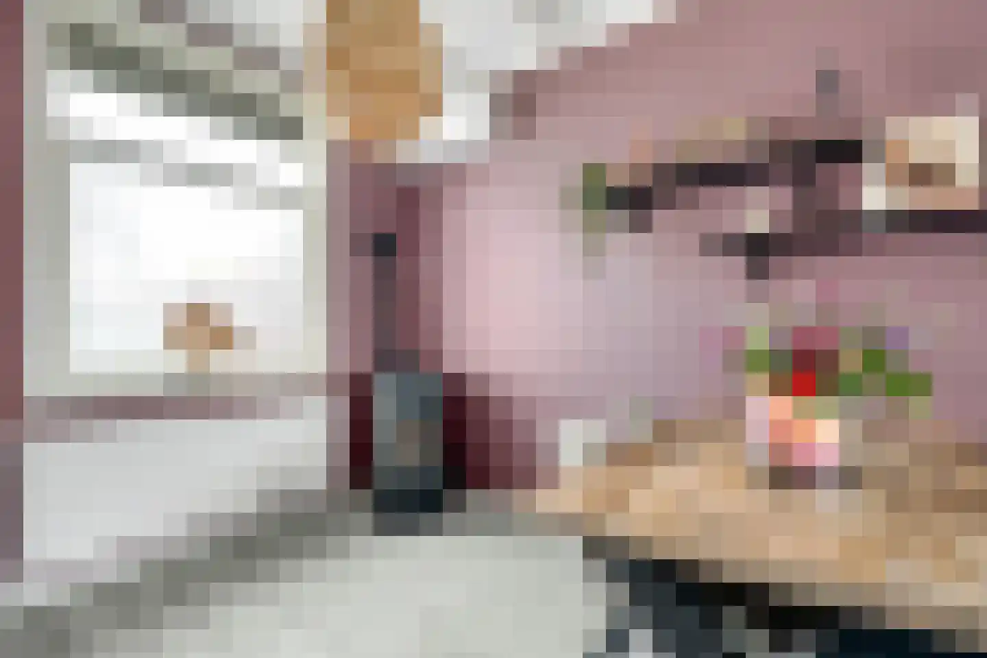 Gronausestraat 173 Losser thumbnail 16