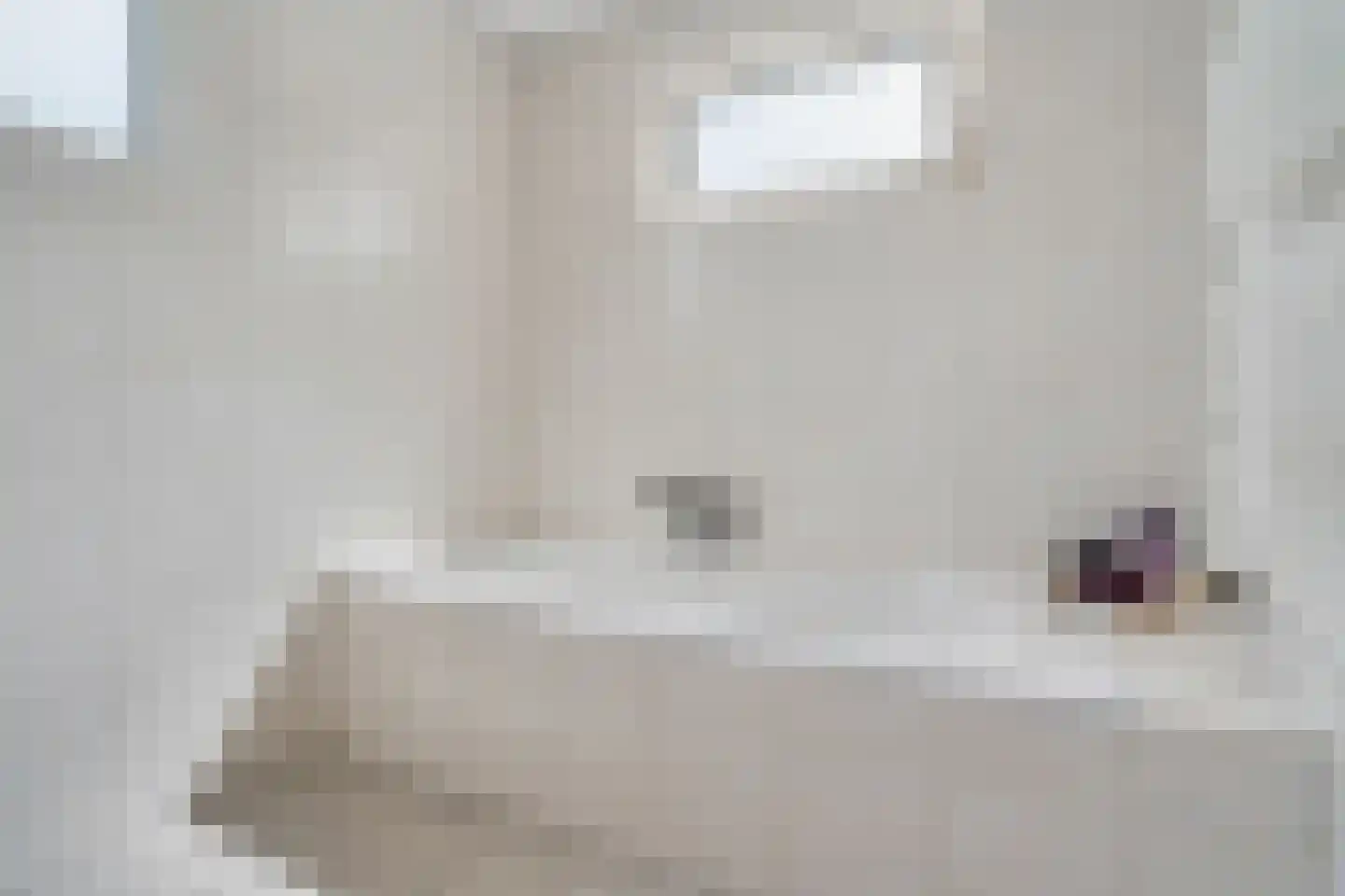 Gronausestraat 173 Losser thumbnail 25
