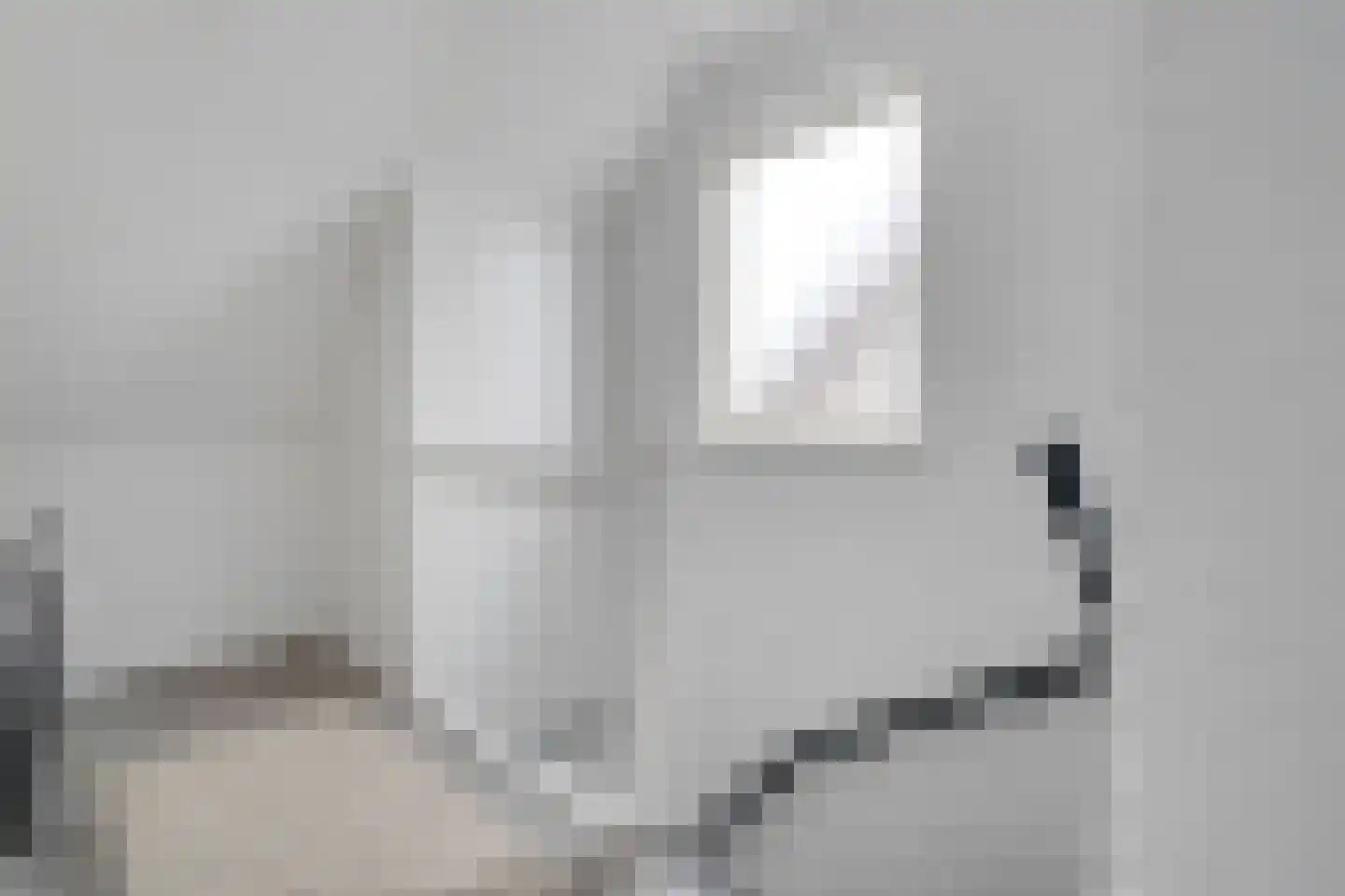 Gronausestraat 173 Losser thumbnail 27
