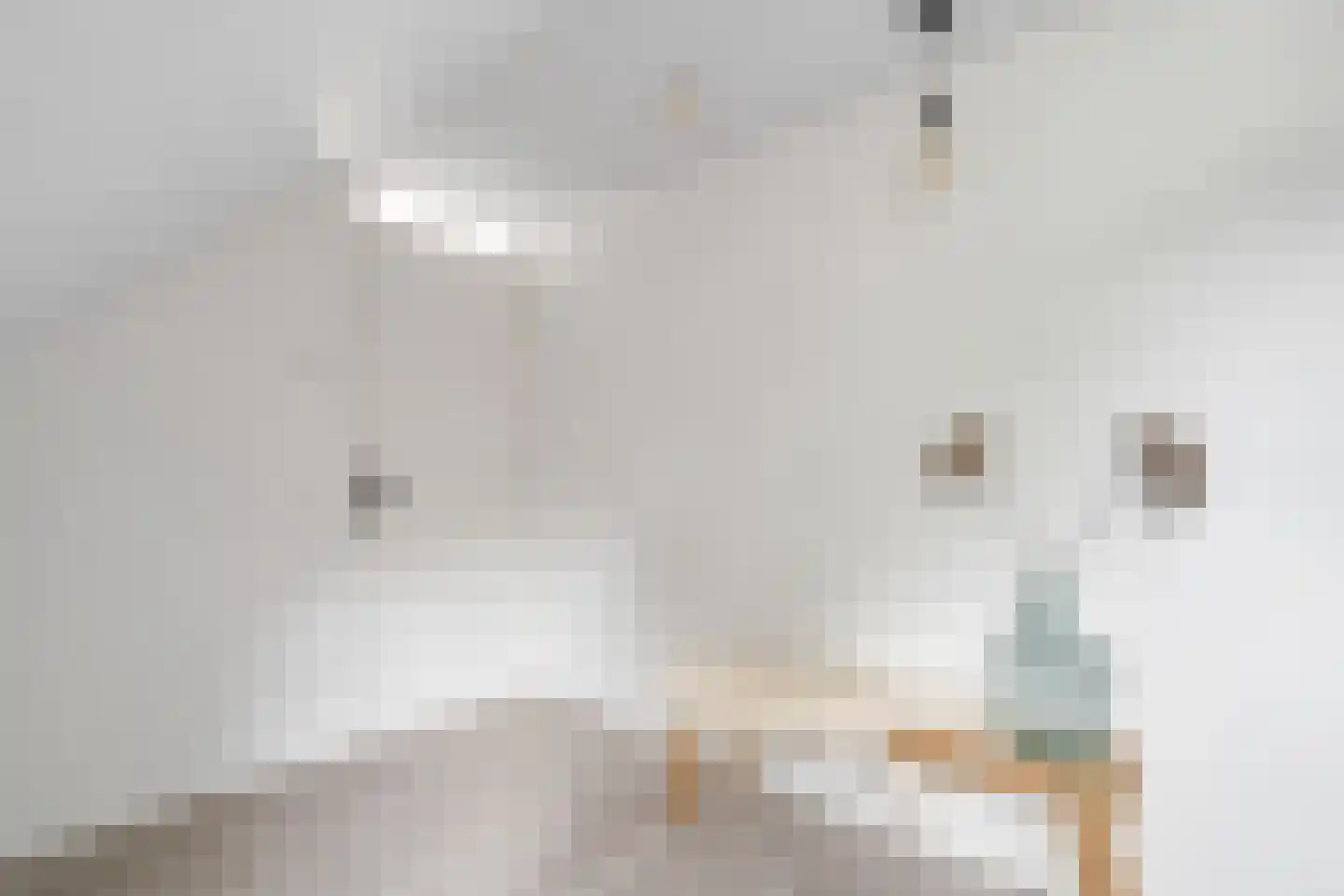 Gronausestraat 173 Losser thumbnail 34